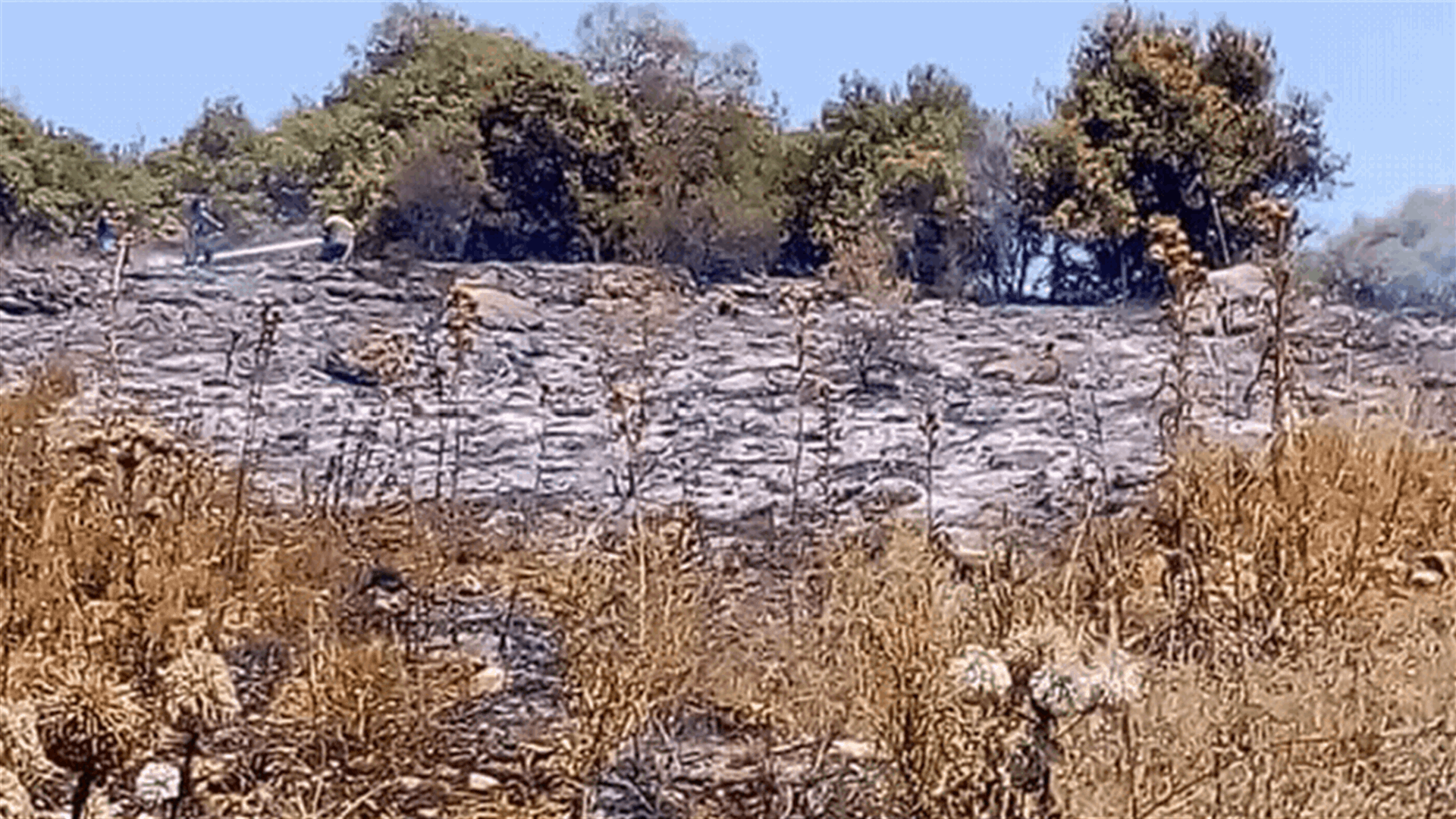 حريقان في عندقت وبزبينا أتيا على مساحات من أشجار الزيتون والدوالي