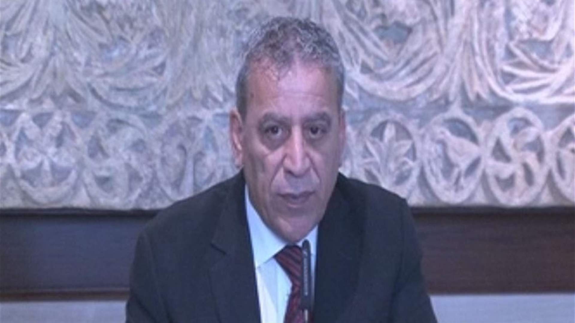 Berri says positive progress made regarding land and maritime border demarcation