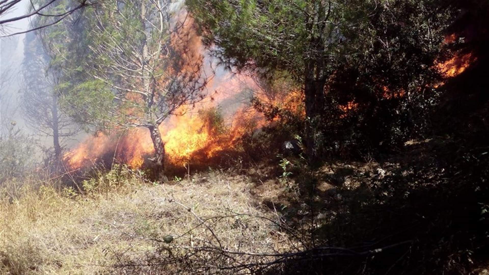 حريق كبير في جبل البيرة... والنيران بدأت تقترب من المنازل المأهولة (صور وفيديو)