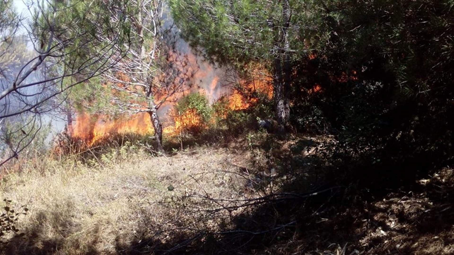 إخماد حريق جبل البيرة... ومراقبة مكان الحريق خوفا من تجدده