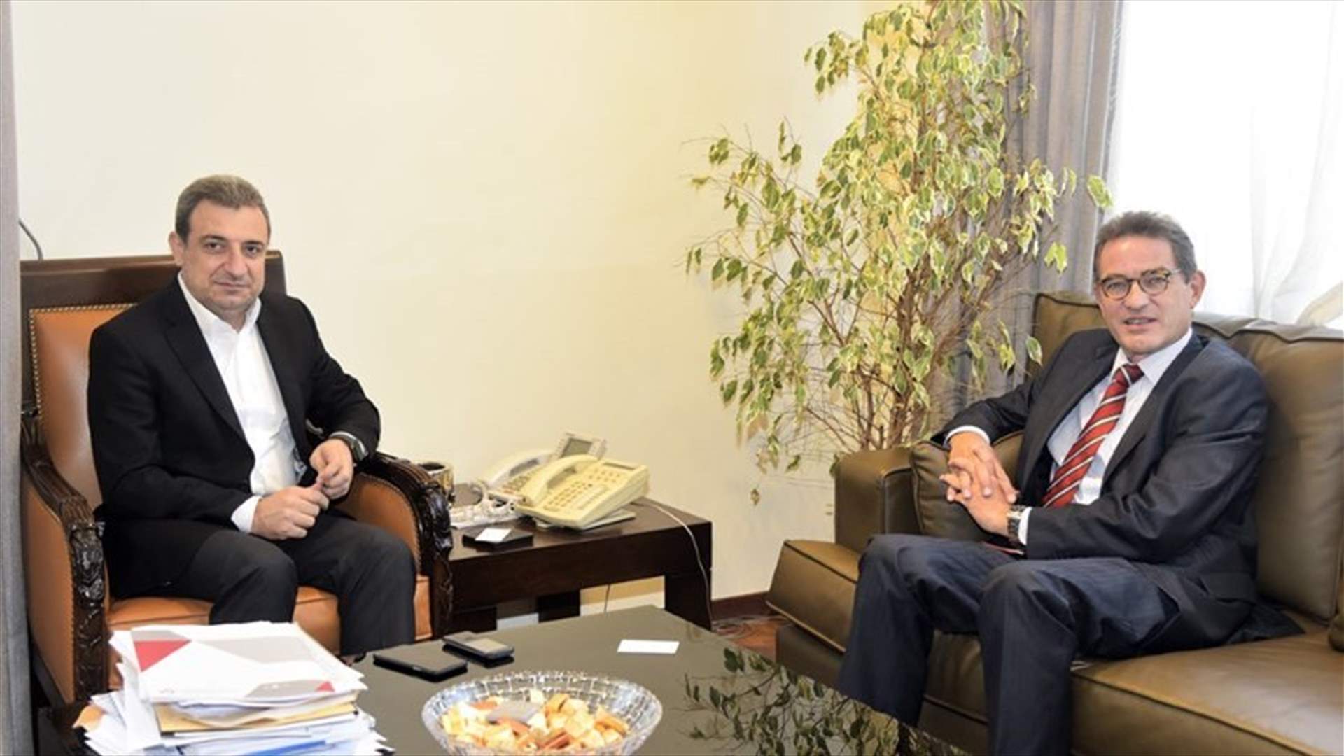 Minister Abou Faour meets German ambassador