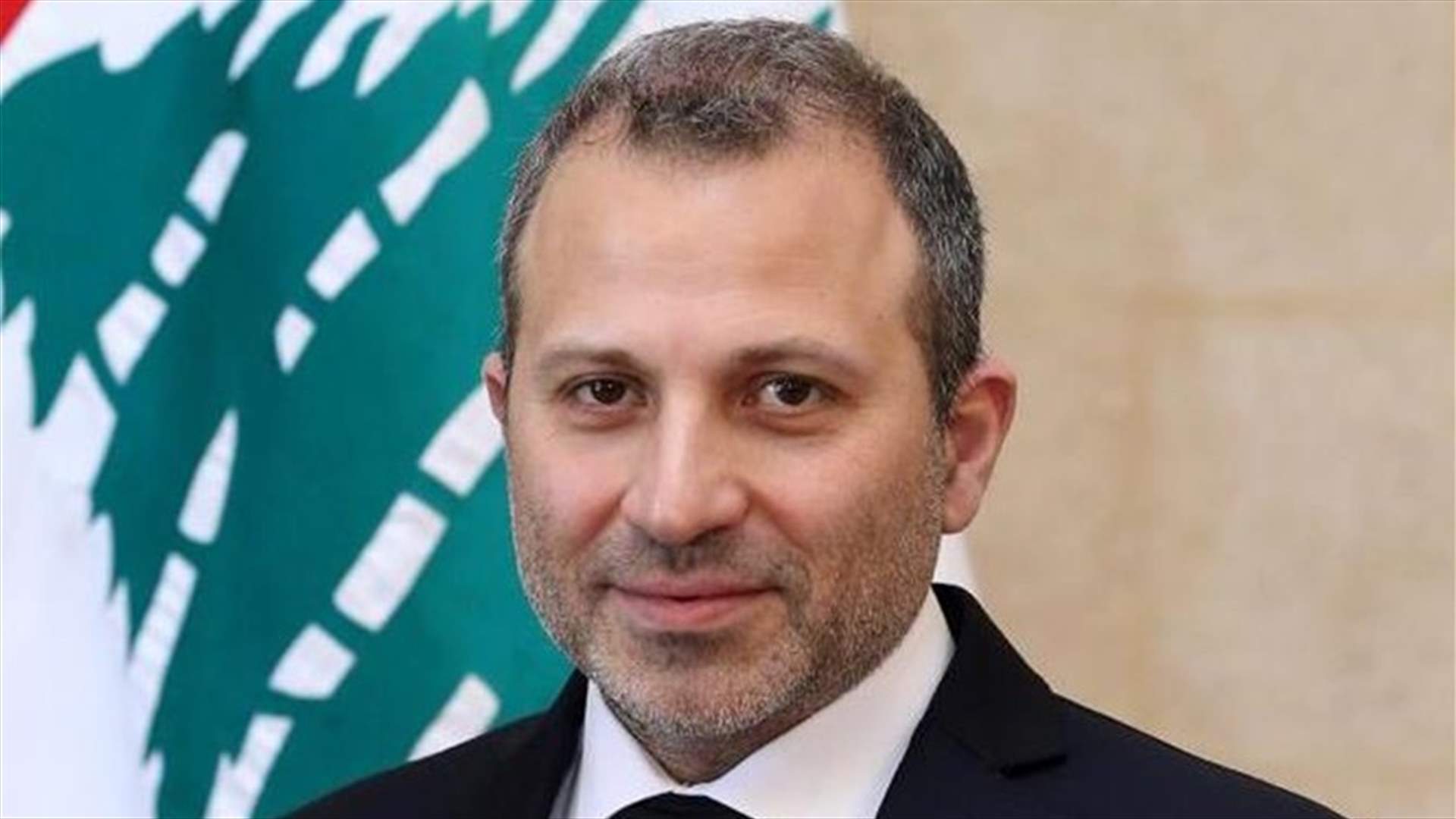 باسيل استقبل سفيرة سويسرا ومغتربين من 20 بلدا
