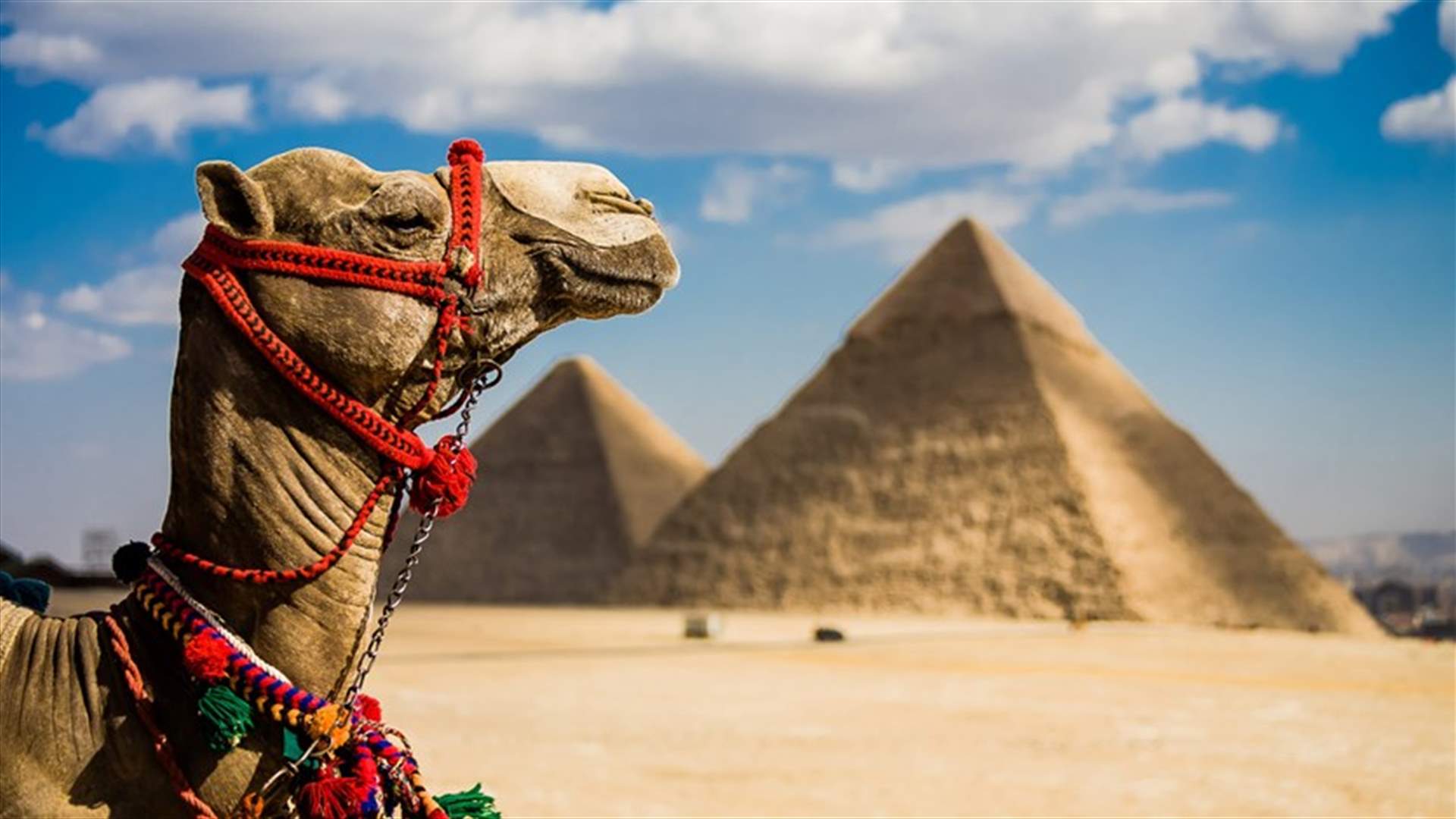 مصر تسعى الى زيادة أعداد السائحين... وعدد الليالي السياحية