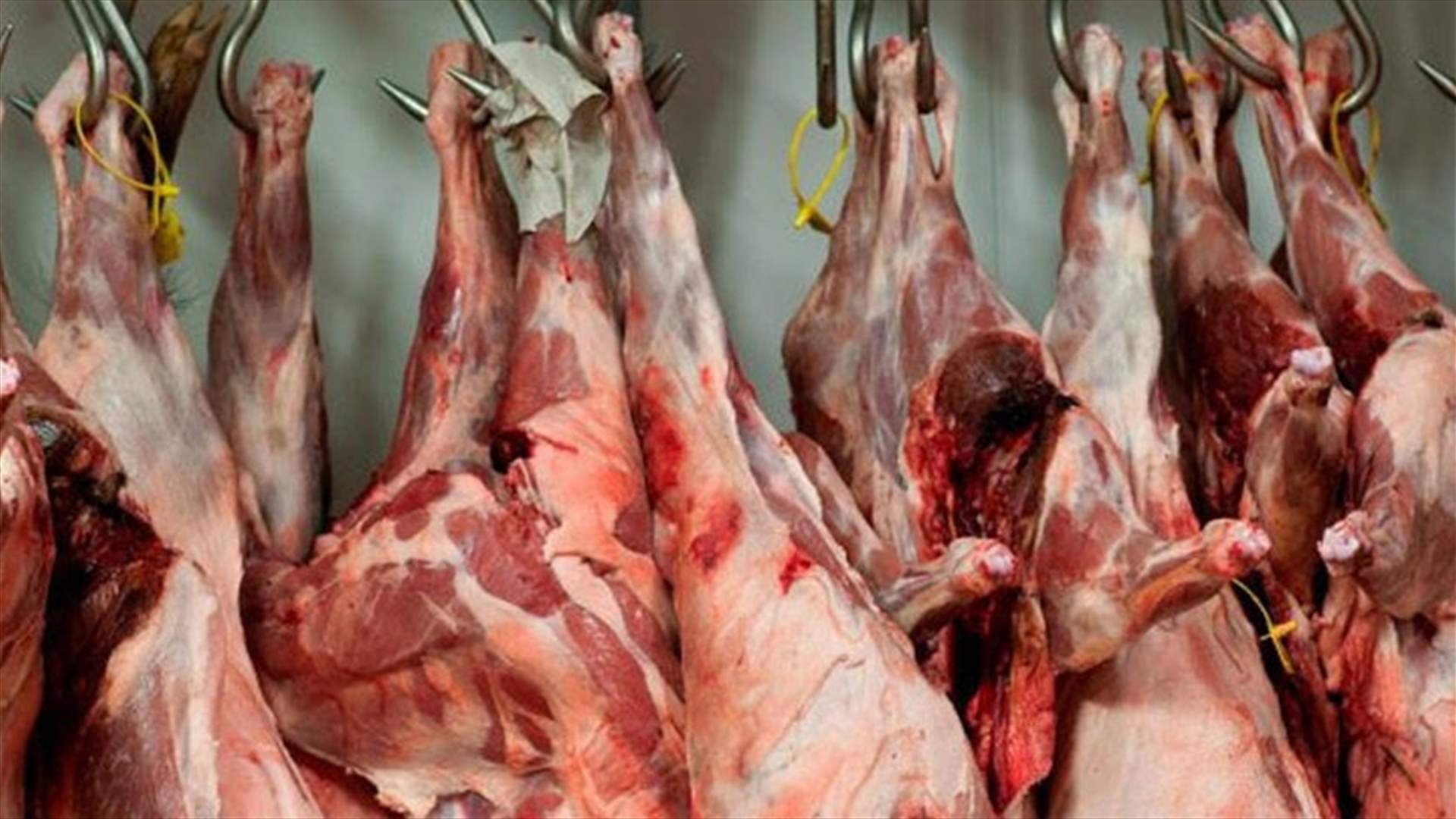ثلاثة مسالخ من أصل 160 تلتزم بالشروط البيئية (الأخبار)