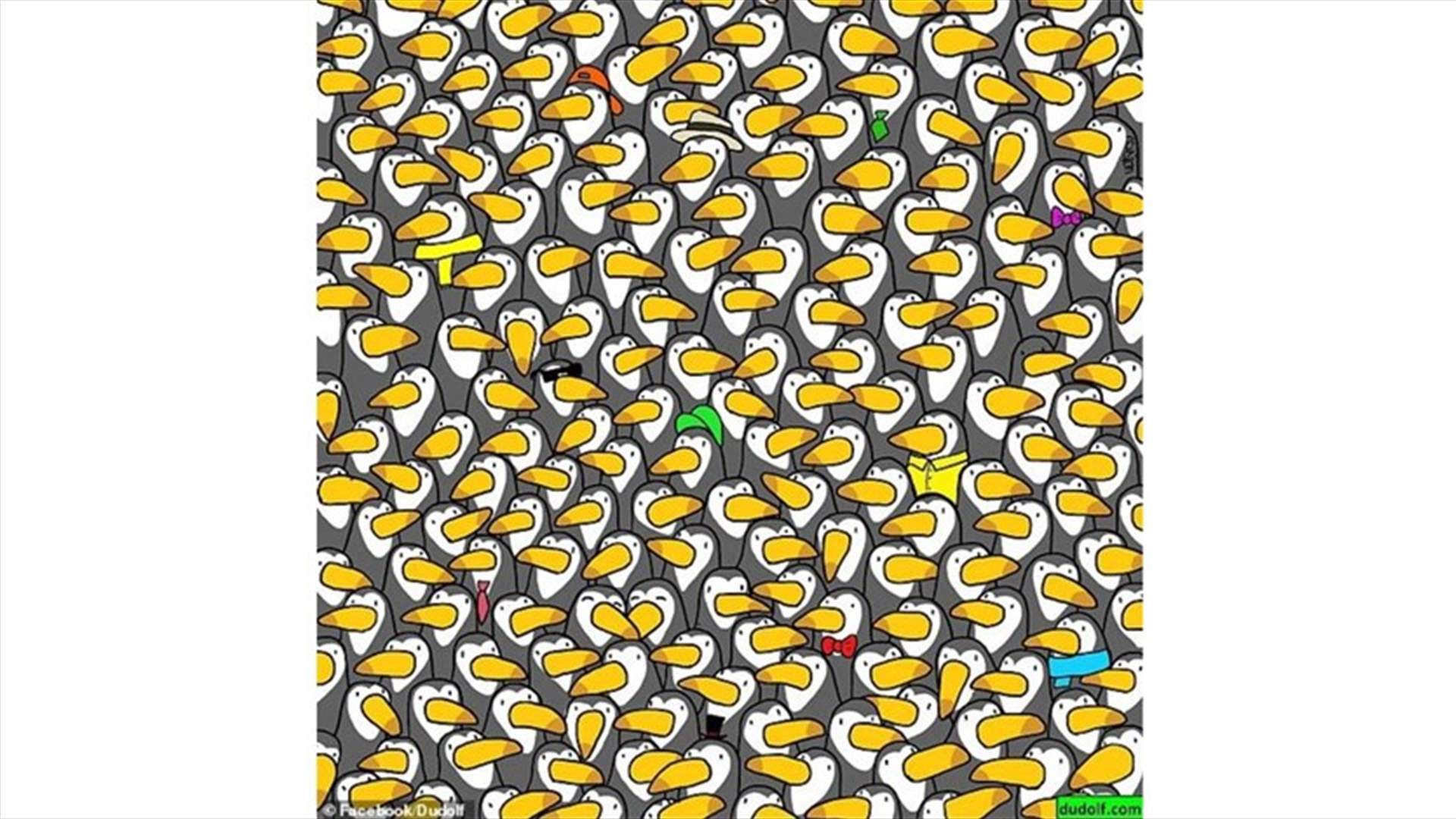 هل تستطيعون رؤية البطريق في هذه الصورة؟