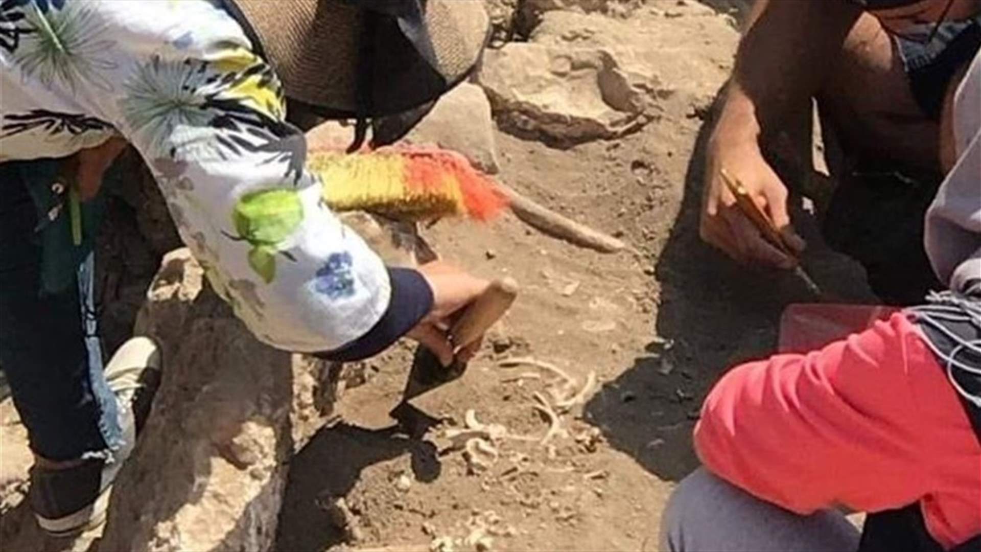 عظام الطفل التي عُثر عليها في قلعة بعلبك... مديرية الآثار توضح