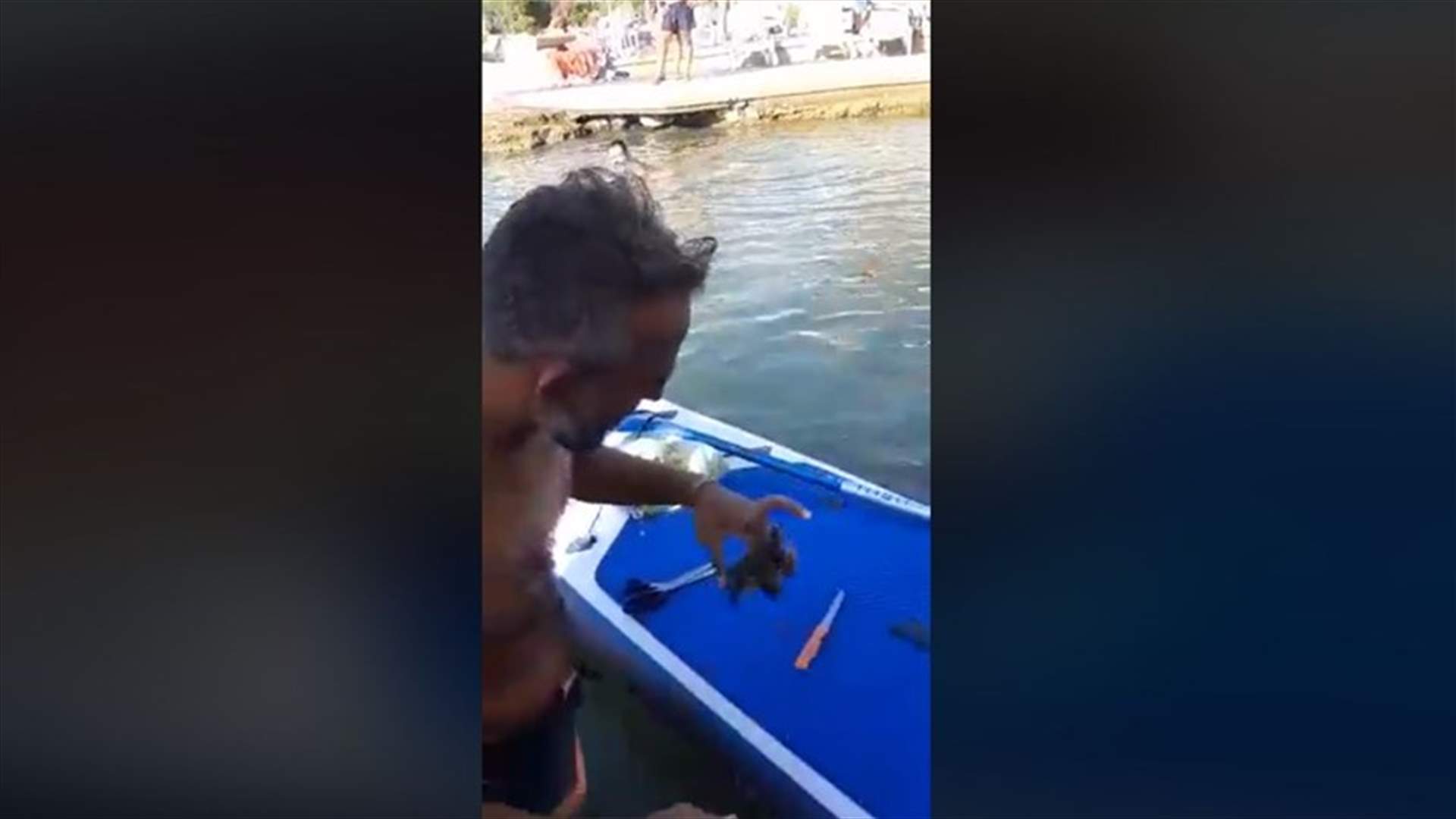 لبنانيون يحررون سلحفاة بحرية كانت عالقة في كيس بلاستيكي في بحر عمشيت (فيديو)