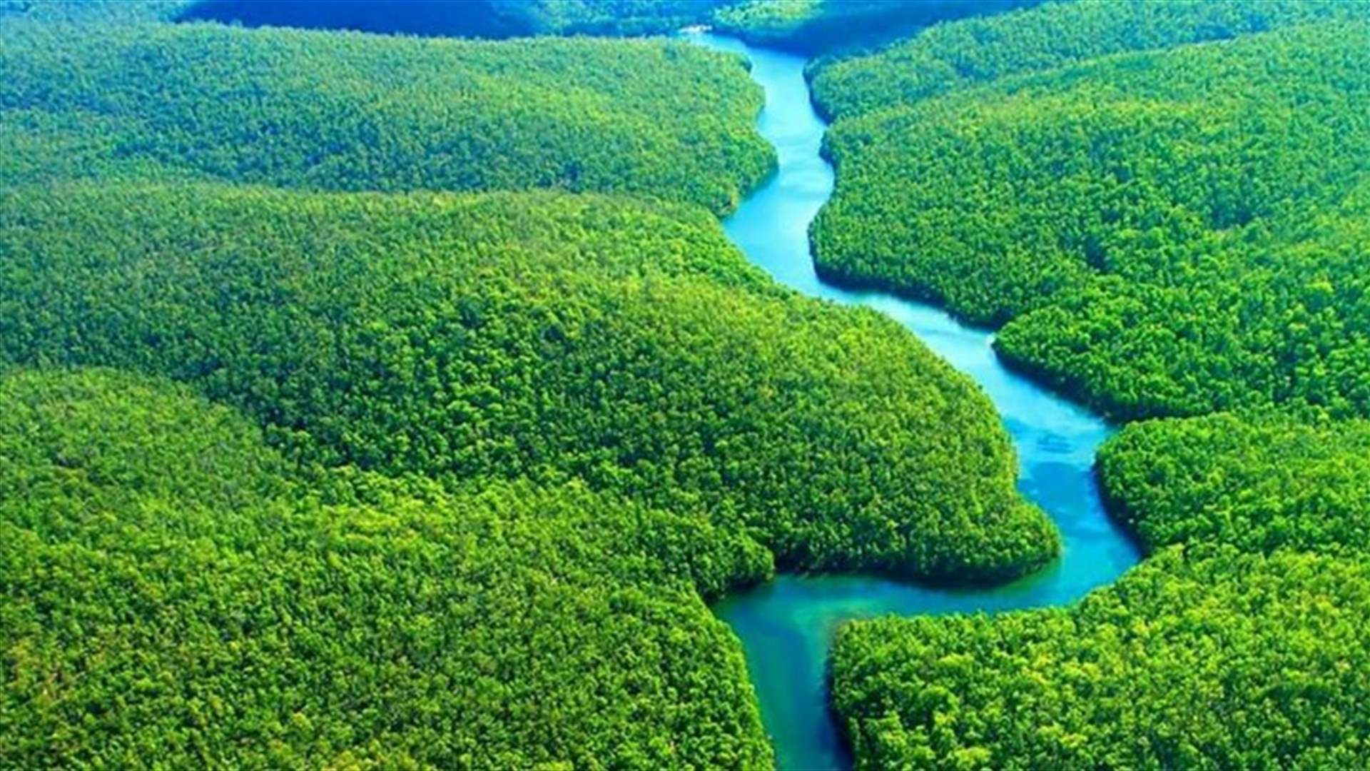 ما هو مصير كوكب الأرض في حال إختفاء غابات الأمازون؟
