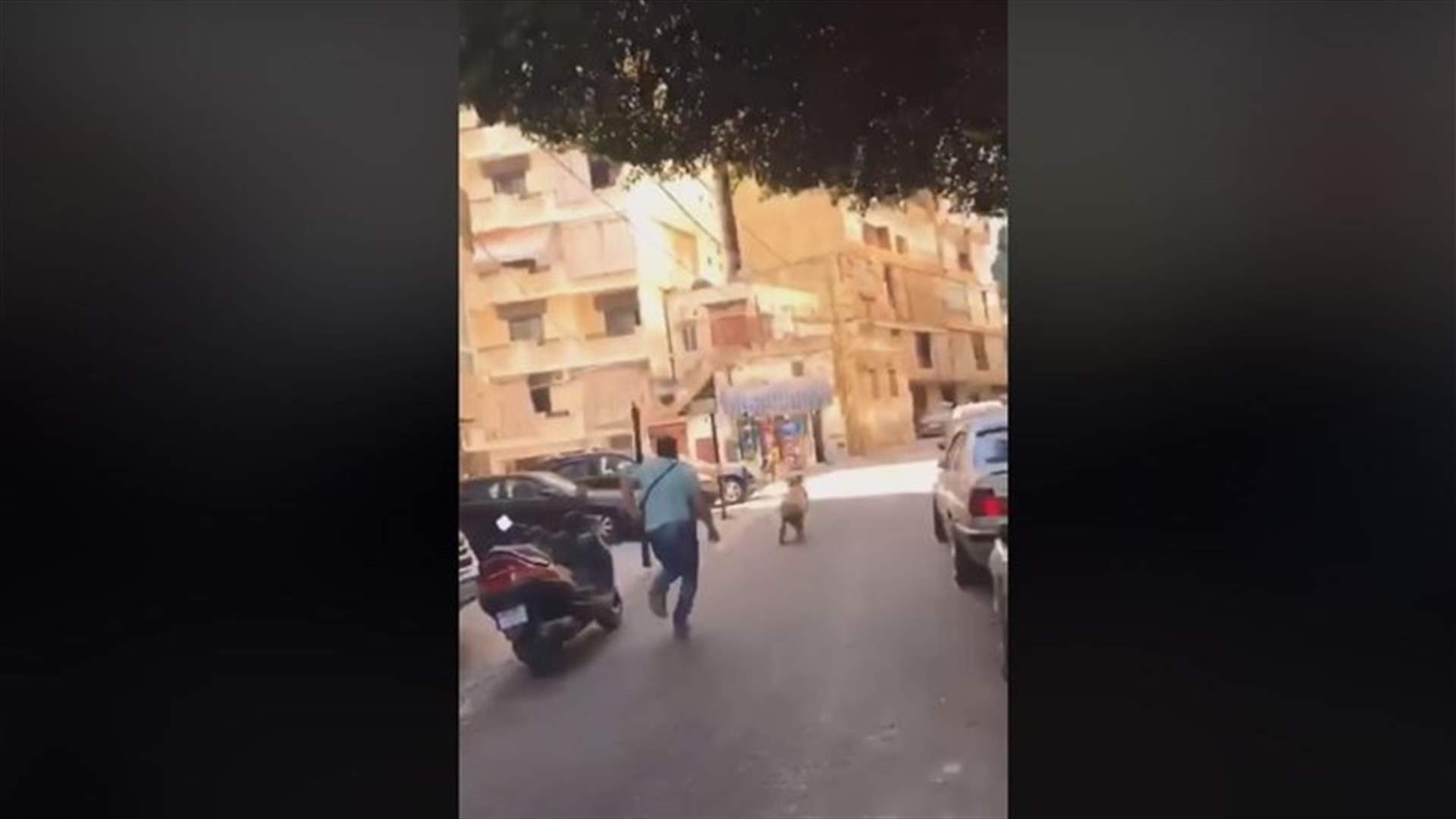 فيديو طريف من بيروت... احتفلوا بعودة أحد الحجاج بالمفرقعات النارية فهرب الخروف