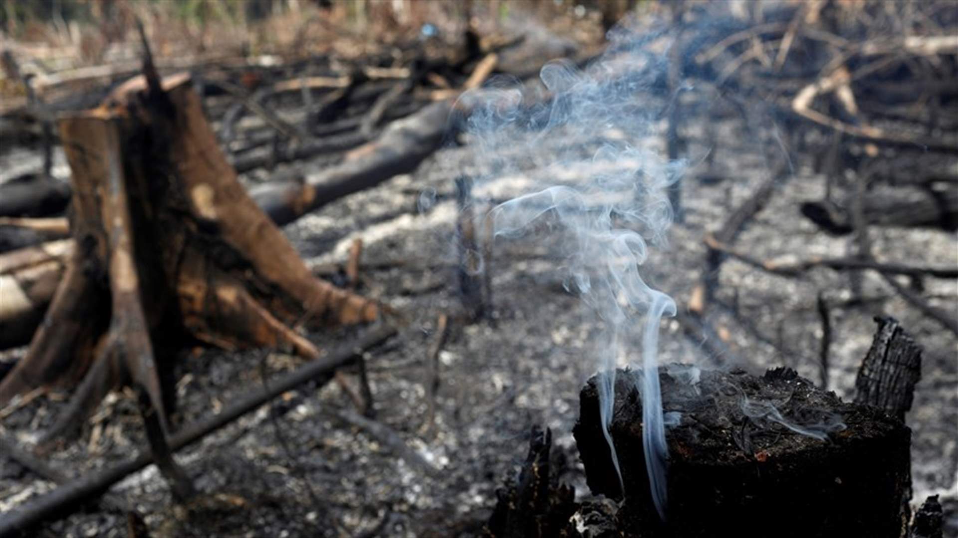 آلاف الجنود على أهبة الاستعداد لمكافحة حرائق الأمازون... وصور تظهر بعض المساحات المحترقة