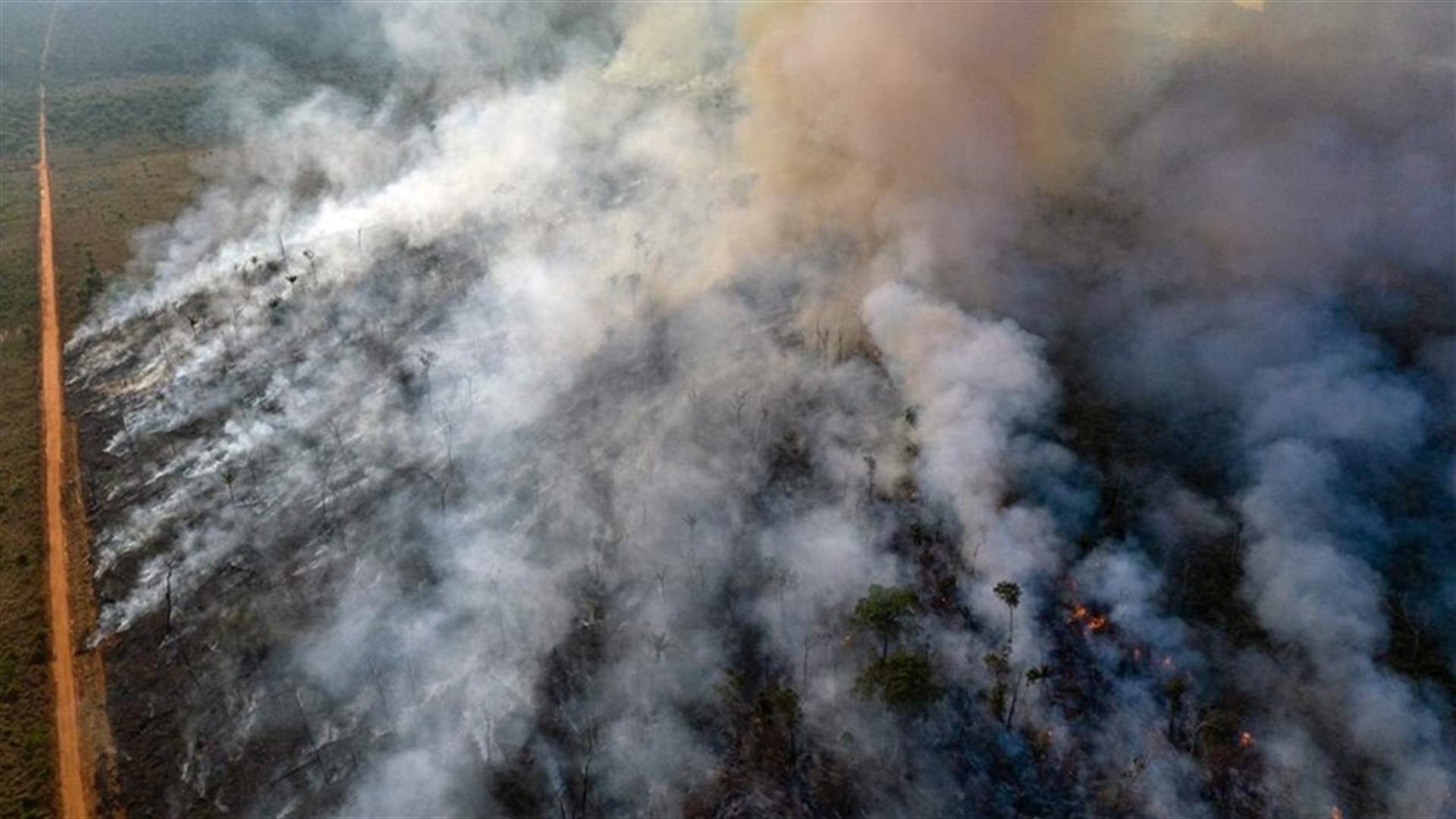 طائرات حربية تسقط مياها على الأمازون مع بدء الجيش البرازيلي مكافحة حرائق الغابات (صور)
