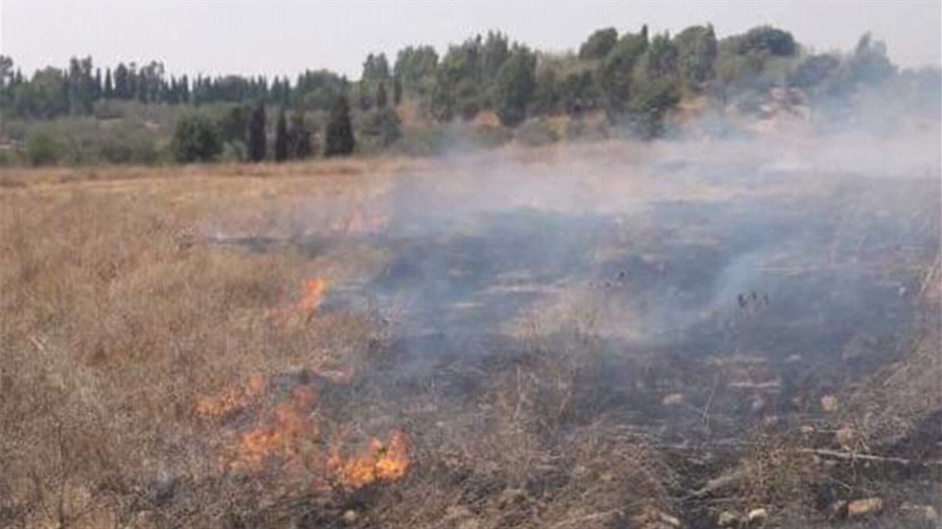 اخماد حريق اعشاب في عندقت العكارية (صورة)