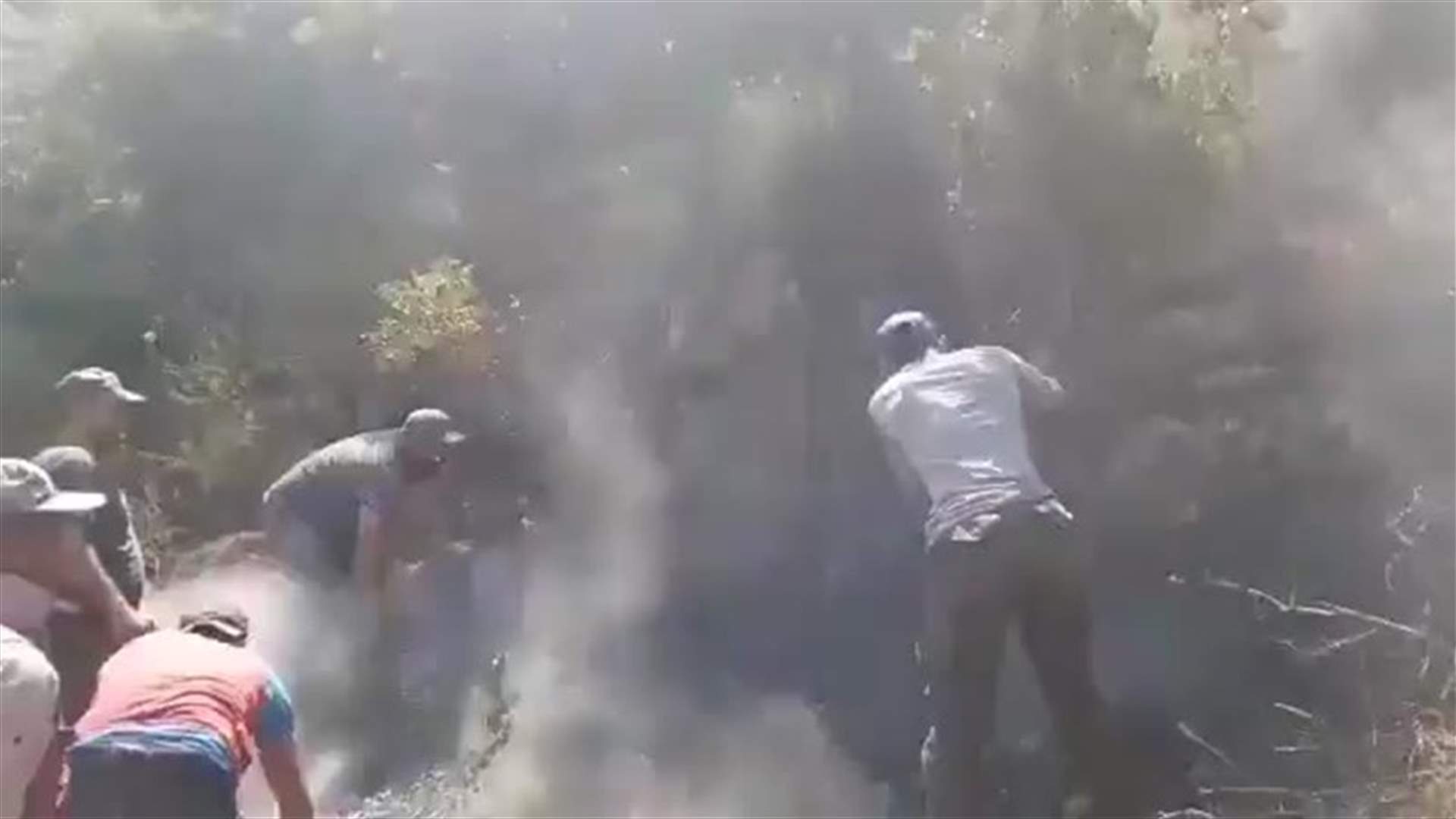 هكذا أطفأ الأهالي الحرائق في أحراج مزرعة بسطرة اللبنانية (فيديو)