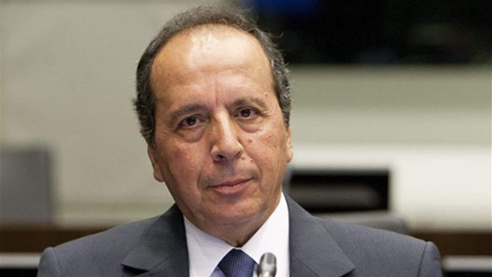 السيد: المشكلة الحقيقية بإفلاس الدولة ليست في قلة النصوص بل في كثرة اللصوص