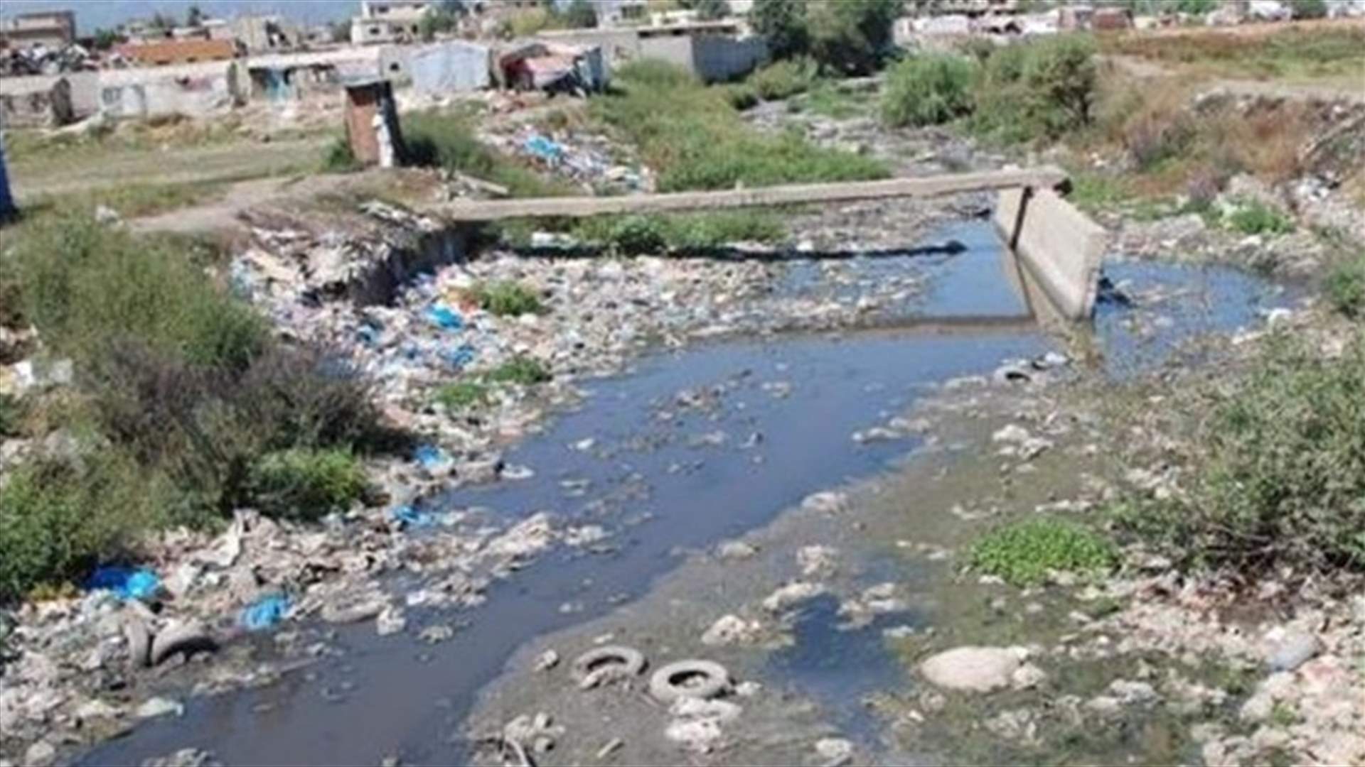 شهادة وفاة بـ"السرطان" في بر الياس