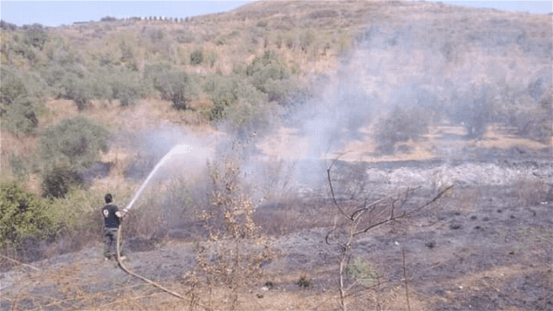 اندلاع حريق في حرج في عدبل العكارية (صورة)