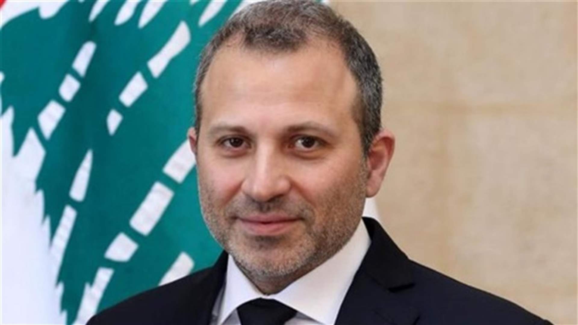باسيل: ...الى المزيد من حضور المرأة في قيادة الدولة