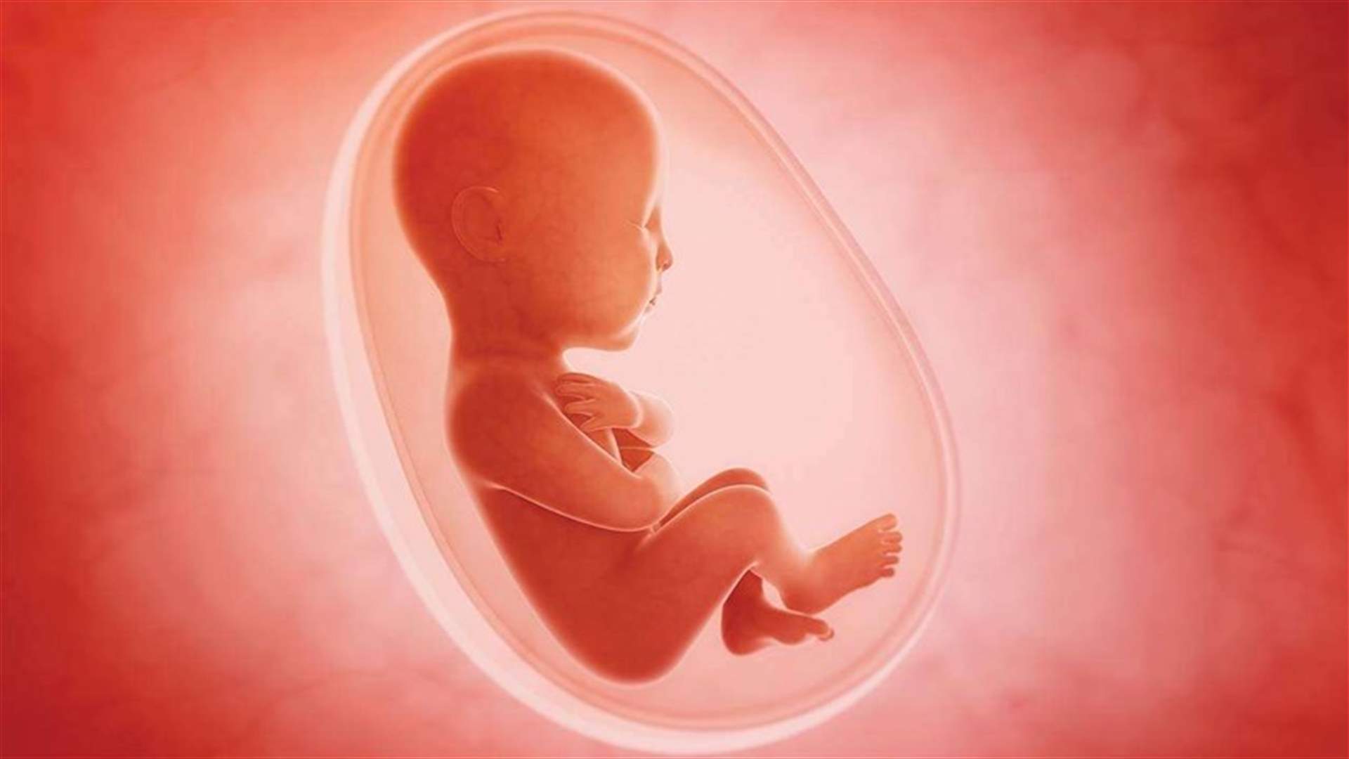 العثور على 2200 جنين ميت داخل منزل طبيب بعد وفاته
