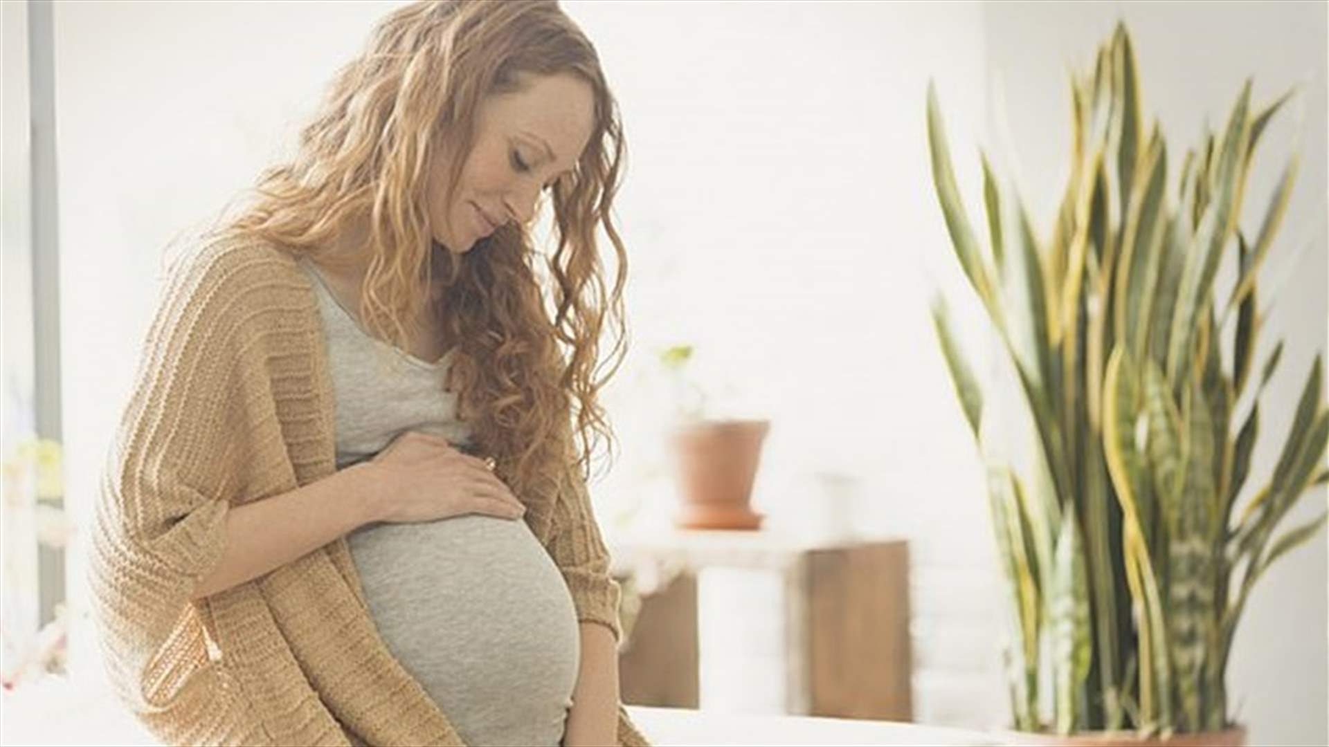 كيف تؤثر إصابة الحوامل بفقر الدم على أدمغة الأجنة؟