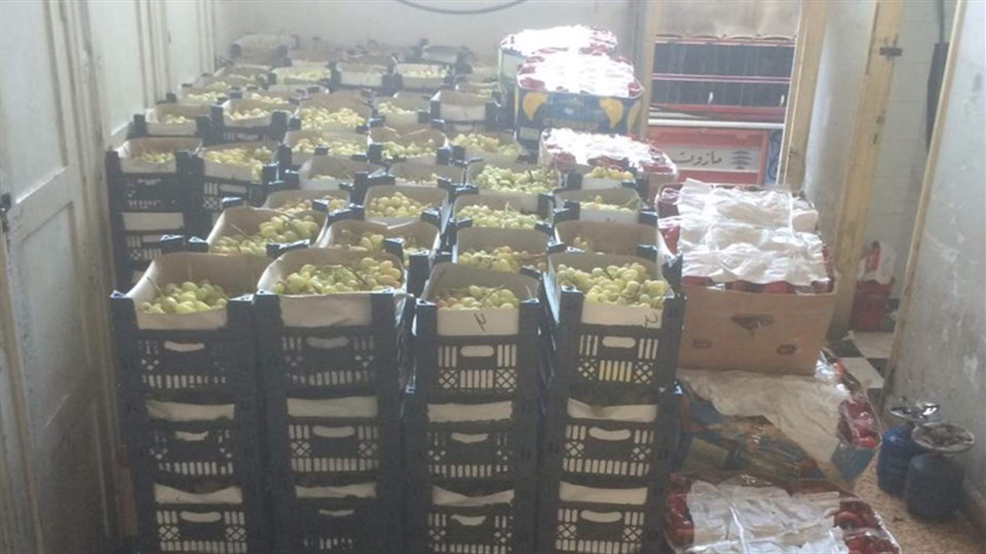 ضبط كمية من العنب والفليفلة المهربة في طرابلس (صور)