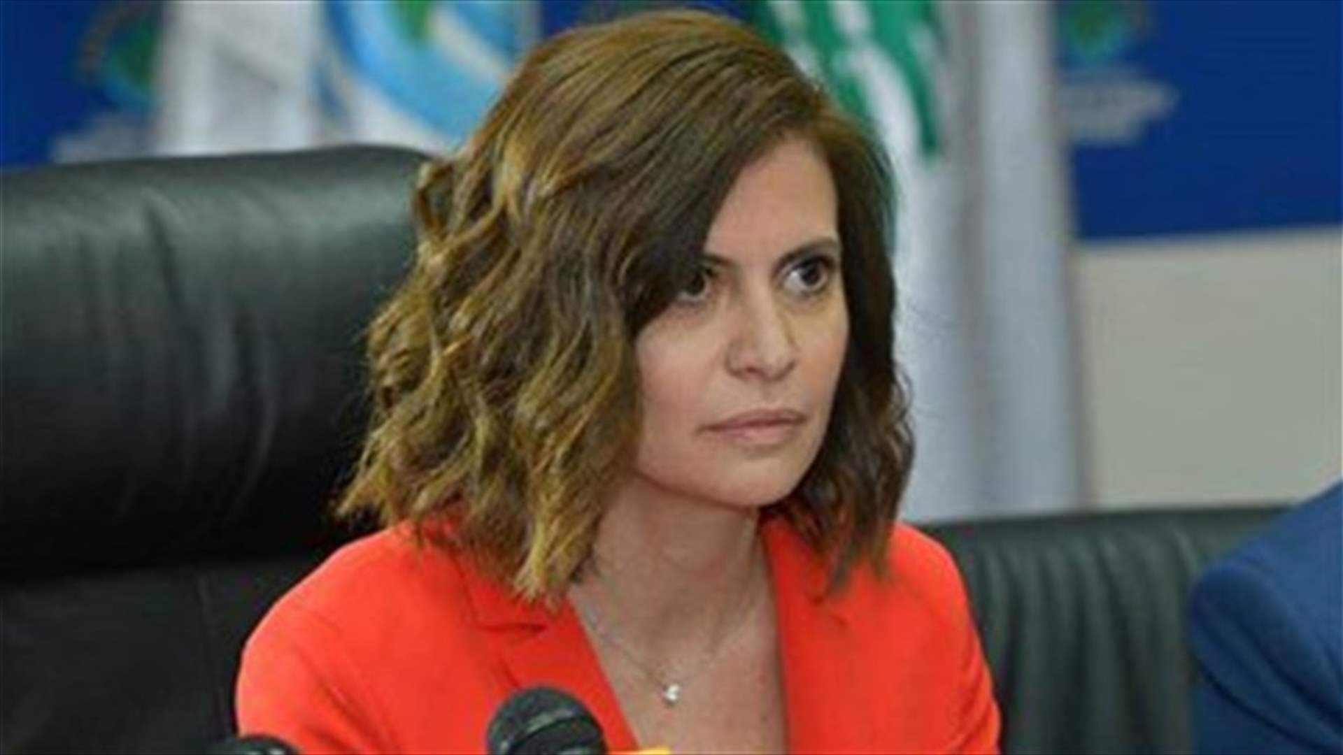 Minister Boustani: Energy Ministry committed to 12% of renewable energy in 2020