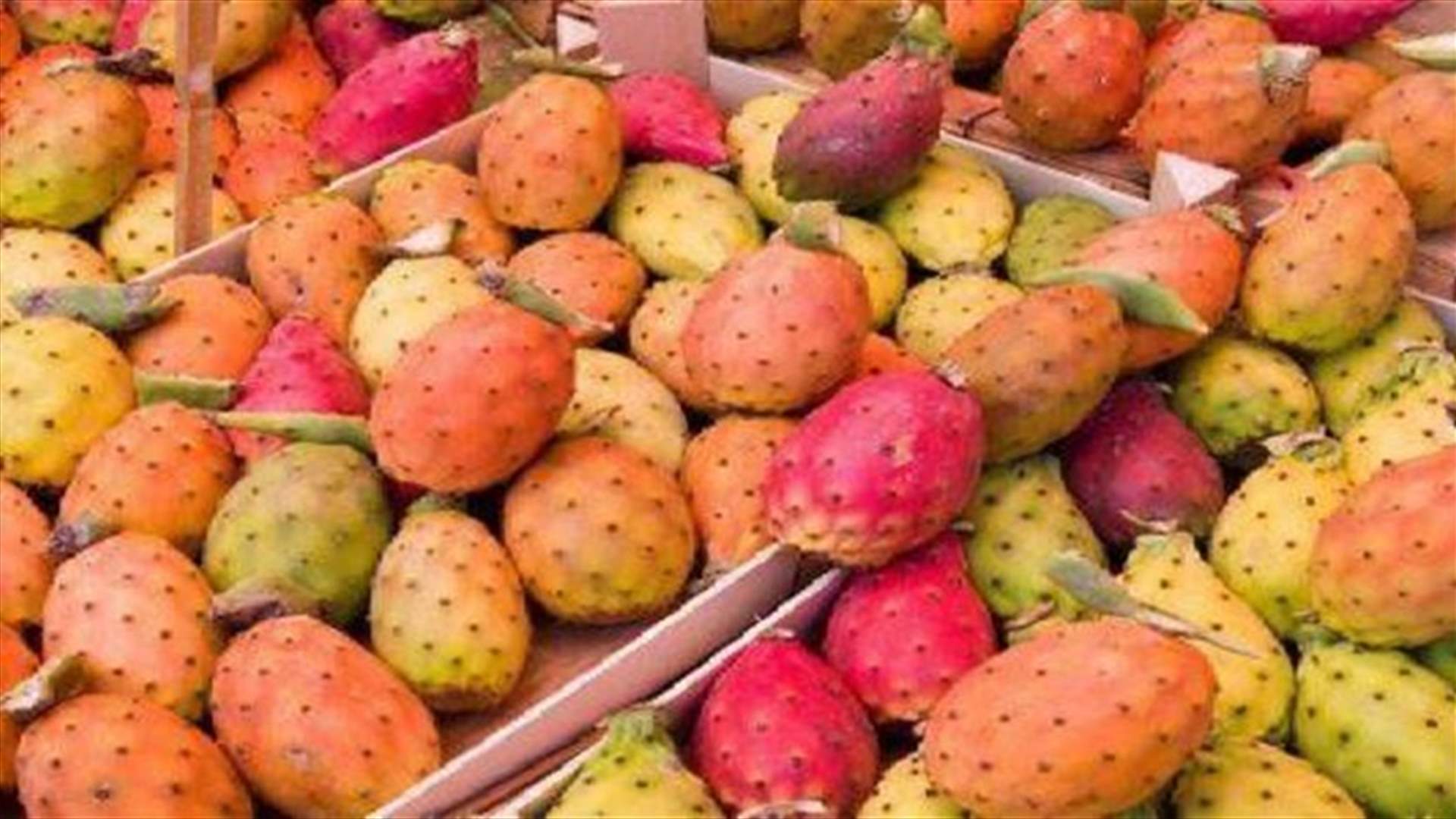فوائد كثيرة ومجهولة للصّبار... مهمة لصحّتكم