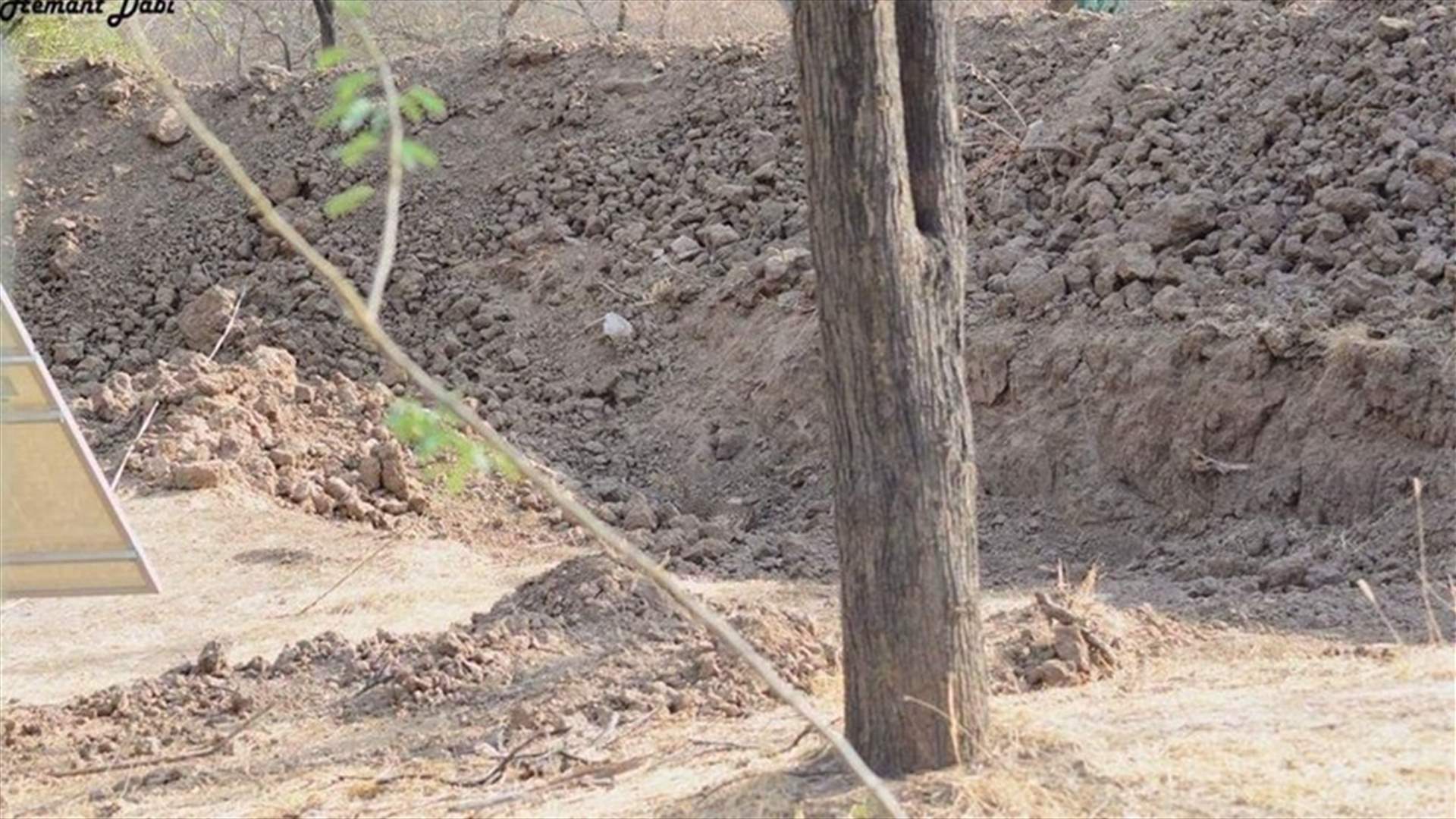 هل يمكنكم رؤية الحيوان المختبئ في هذه الصورة؟