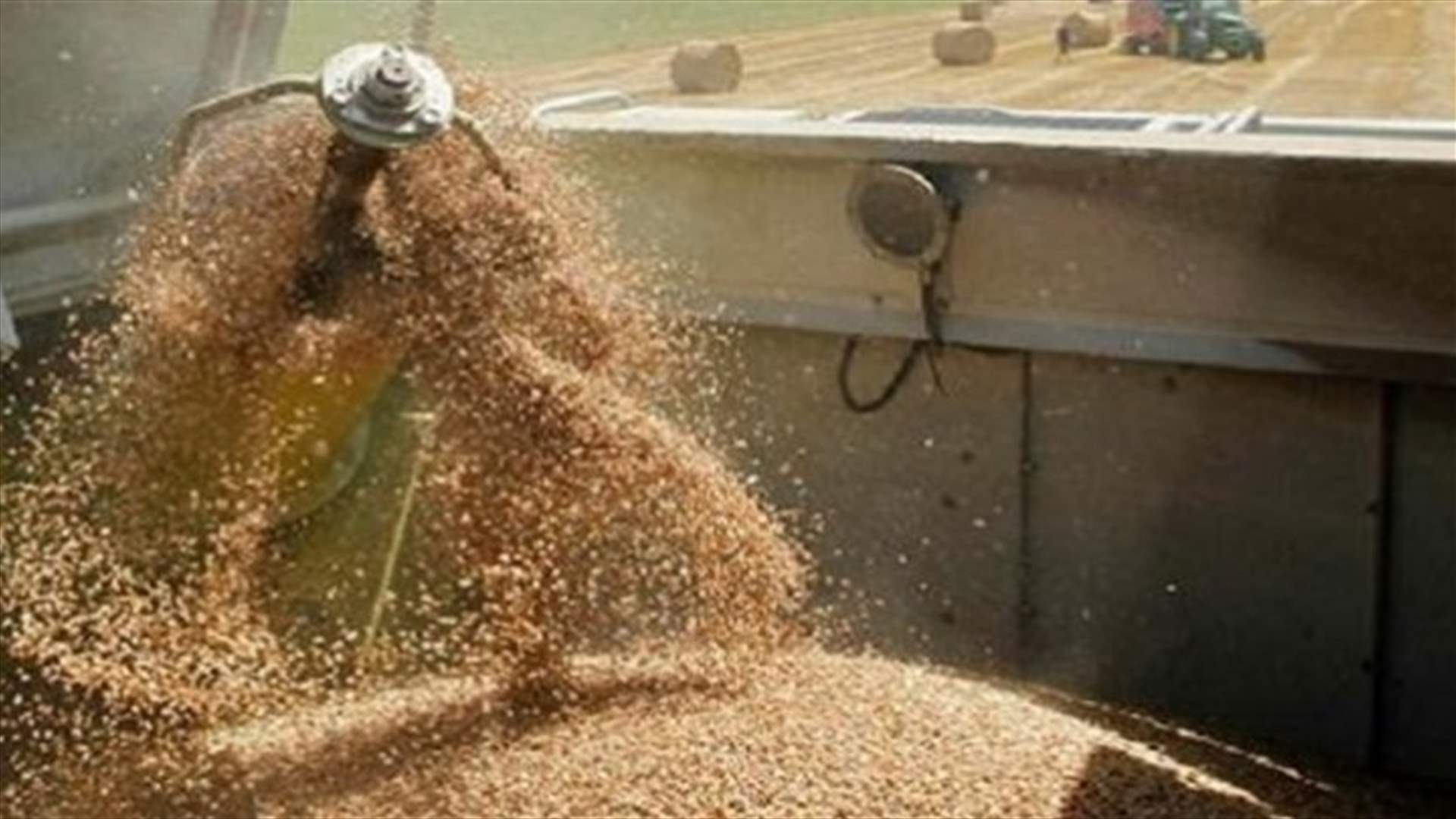 تجمع اصحاب المطاحن: احتياط القمح المخزن لدى المطاحن انخفض بشكل خطر