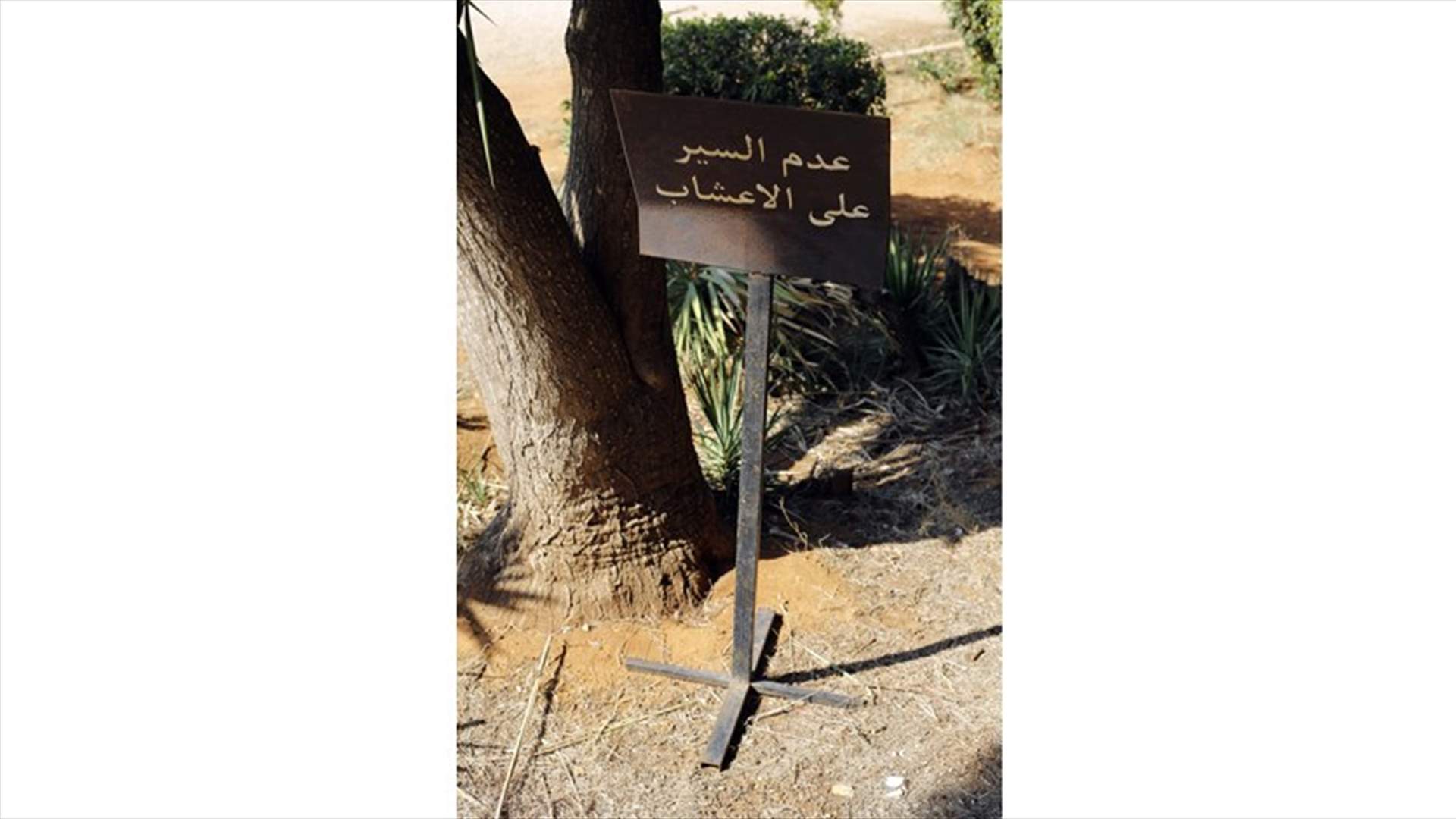 إصرار على تشريع مخالفة القوانين في حرج بيروت: "لغز" المستشفى المصري لا يزال بلا حل (الاخبار)