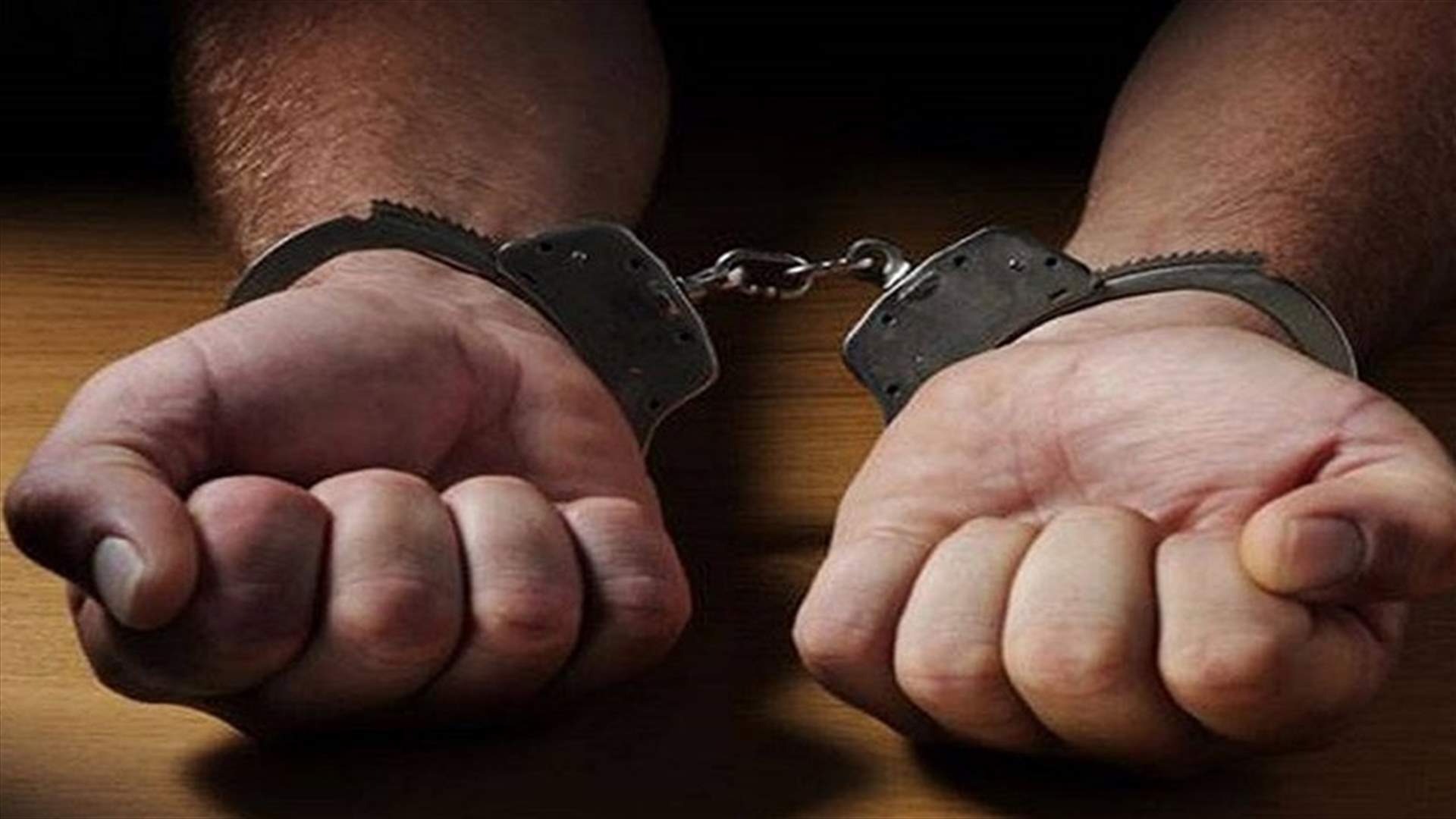توقيف لبناني في الدرداره - مرجعيون و30 سوريا في وادي الحجير