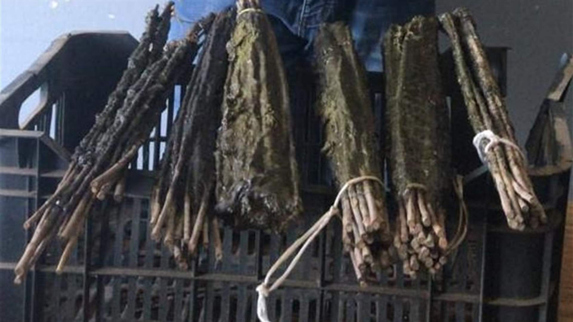 يقوم بتصنيع الدبق المحلي لاصطياد الطيور في الرميلة... فتم توقيفه (صورة)
