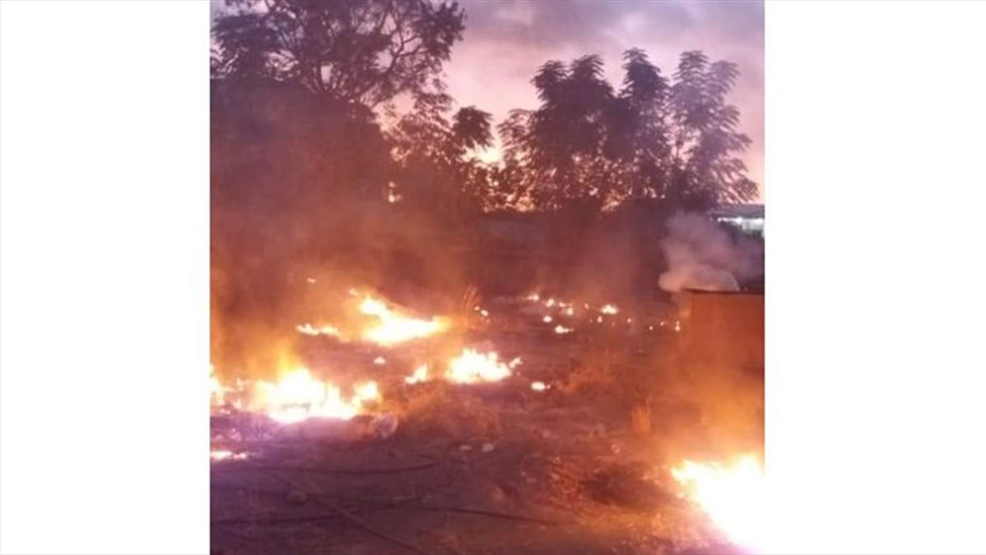 حريق في بلدة خريبة الجندي إلتهم مساحة من أشجار الزيتون (صورة)