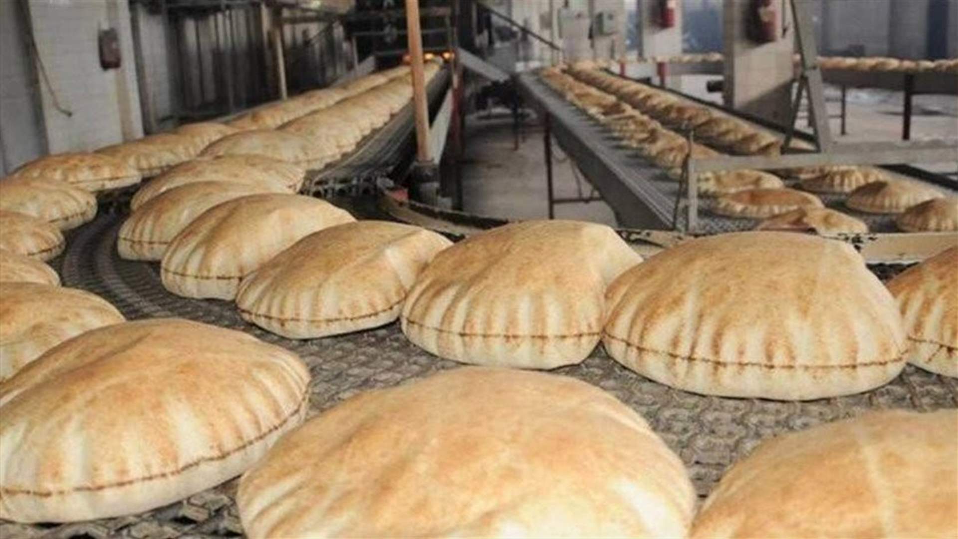 تجمع المطاحن وأزمة الدولار.. تابع