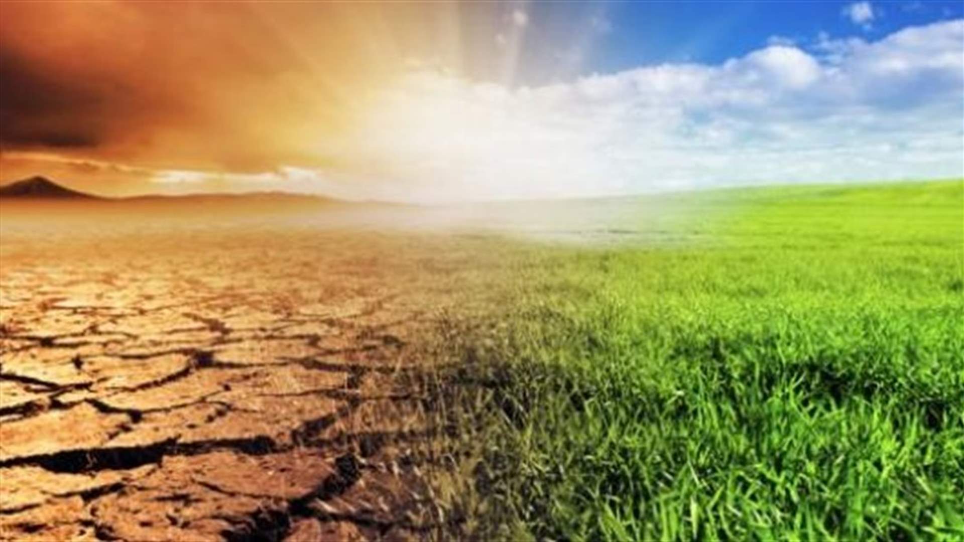 الشرطة الهولندية تحتجز 130 من نشطاء مكافحة تغير المناخ