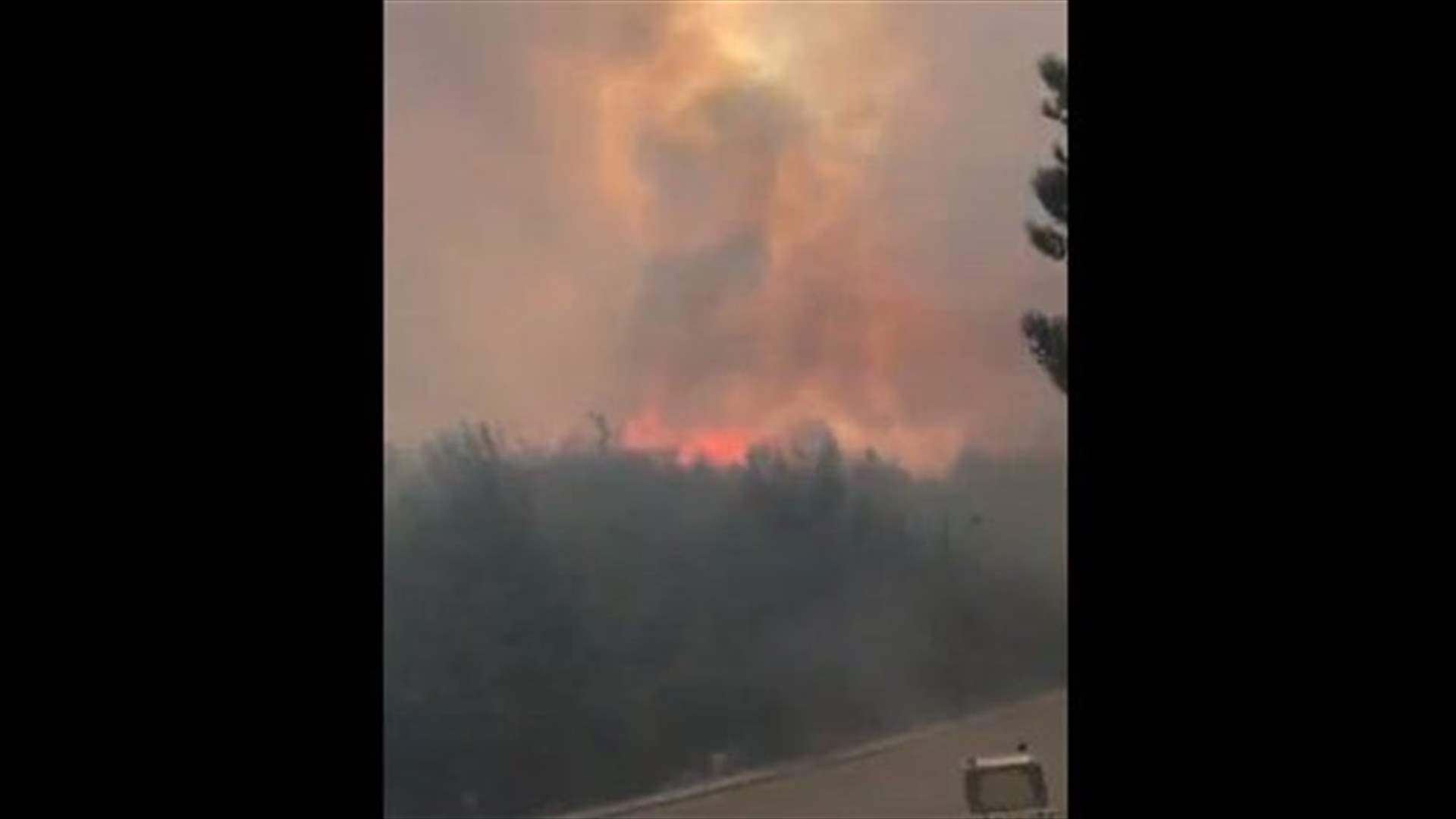 Video shows massive fire in Chouf town of Mechref ​