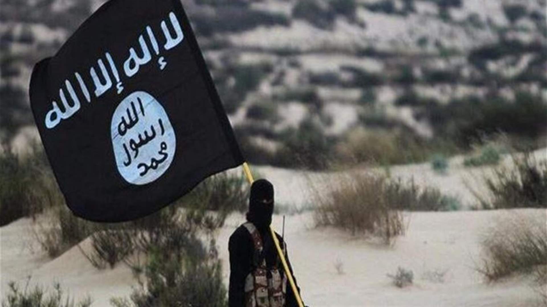 الدنمارك تعتزم سحب الجنسية من مواطنين قاتلوا في الخارج
