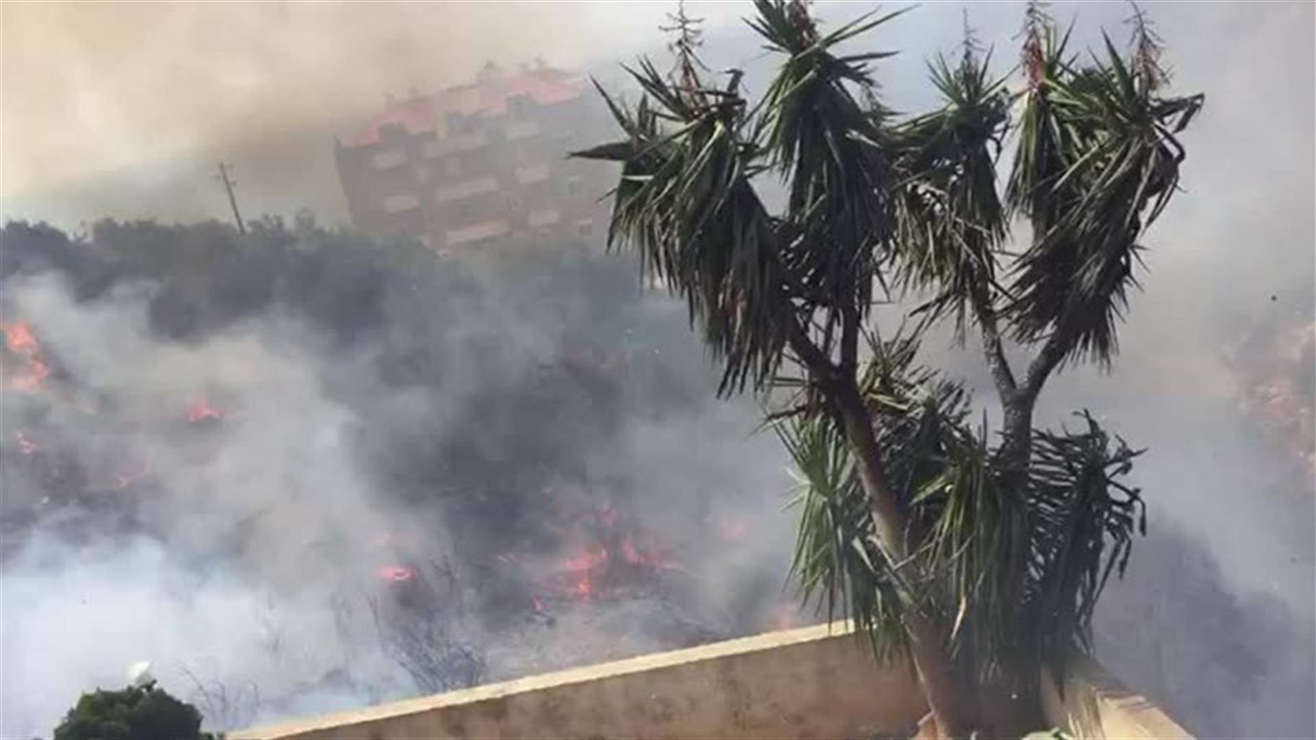 حريق كبير في جدايل... وقائمقام جبيل طلبت من أصحاب الصهاريج المساعدة في اخماده (فيديو)