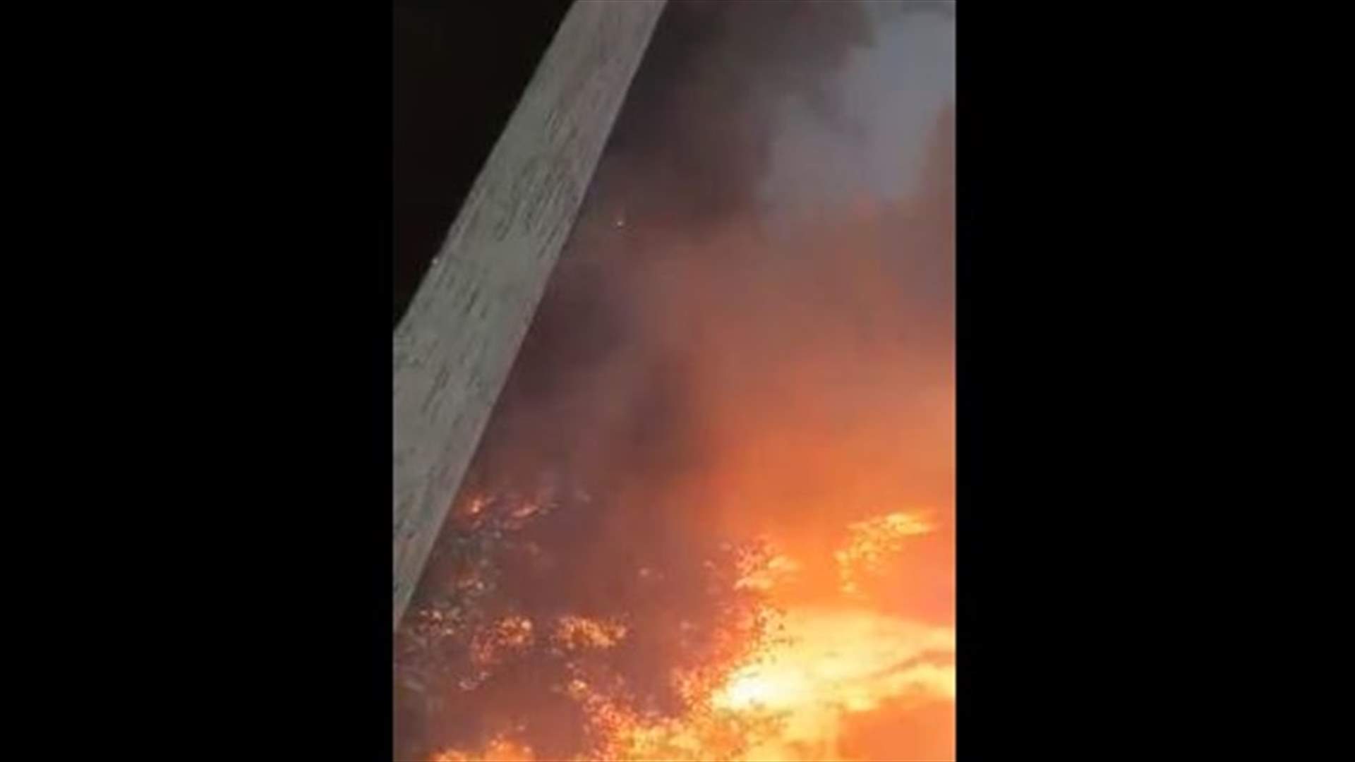 حريق في عين الذهب والنيران تقترب من المنازل... والدفاع المدني يتوجه الى المكان (فيديو)