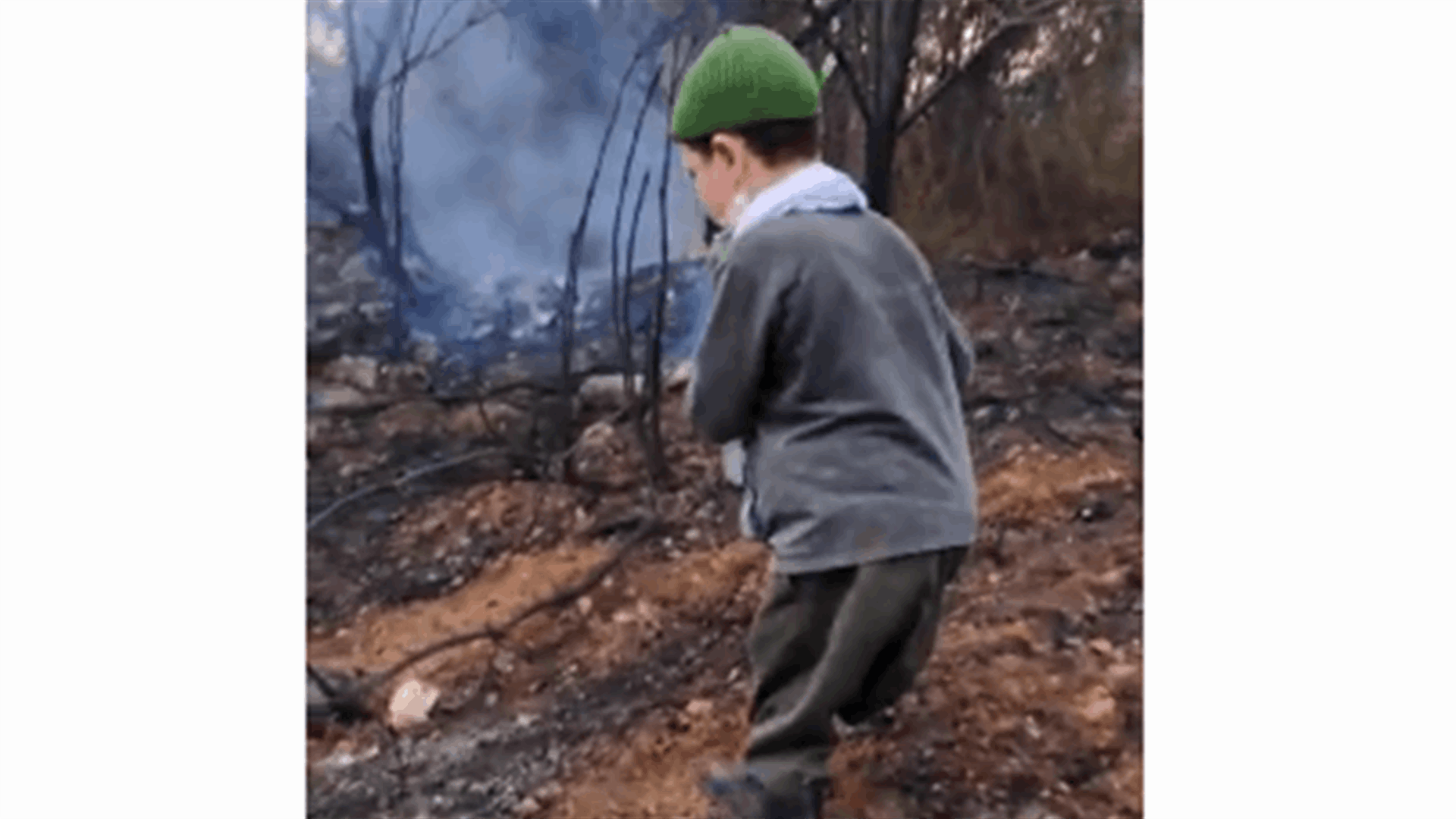 طفل اجتاحت صورته مواقع التواصل خلال الحرائق التي اندلعت في لبنان (فيديو وصور)