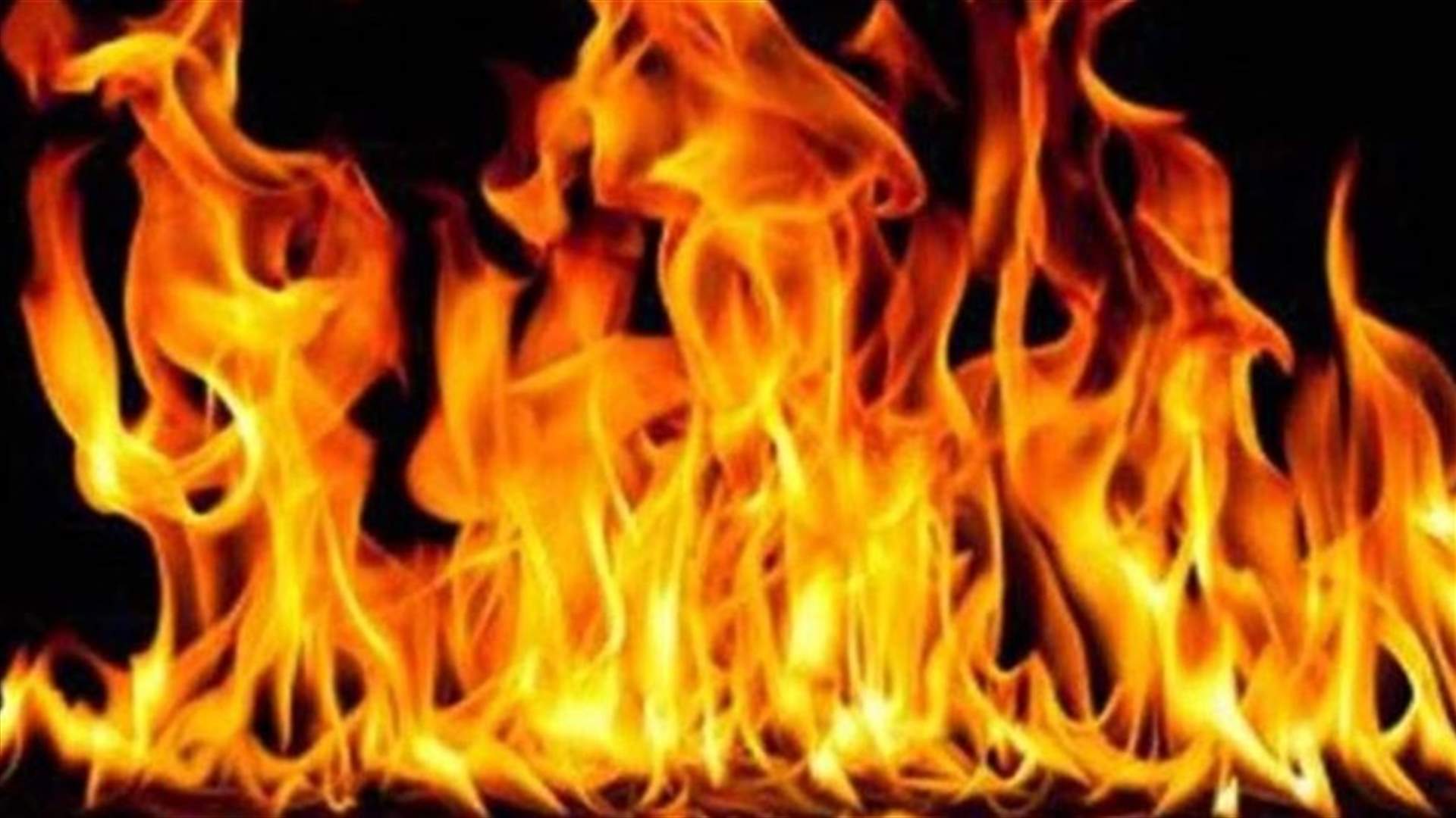 تجدد الحريق في احراج بلدة مزرعة الضهر
