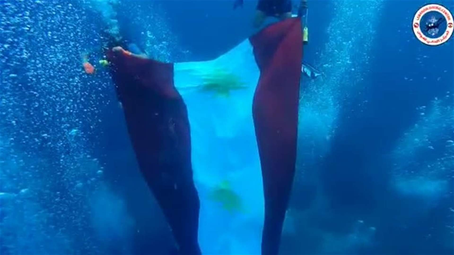 Divers unfurl giant Lebanese flag underwater in tribute to popular movements across country (Video)