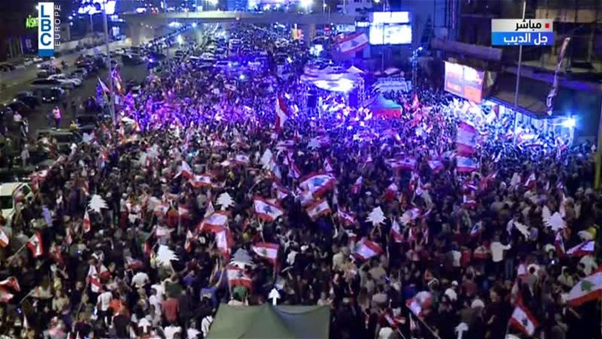 في اليوم السابع لـ"ثورة الشعب"... الأعلام اللبنانية ترفرف في سماء جل الديب (فيديو)