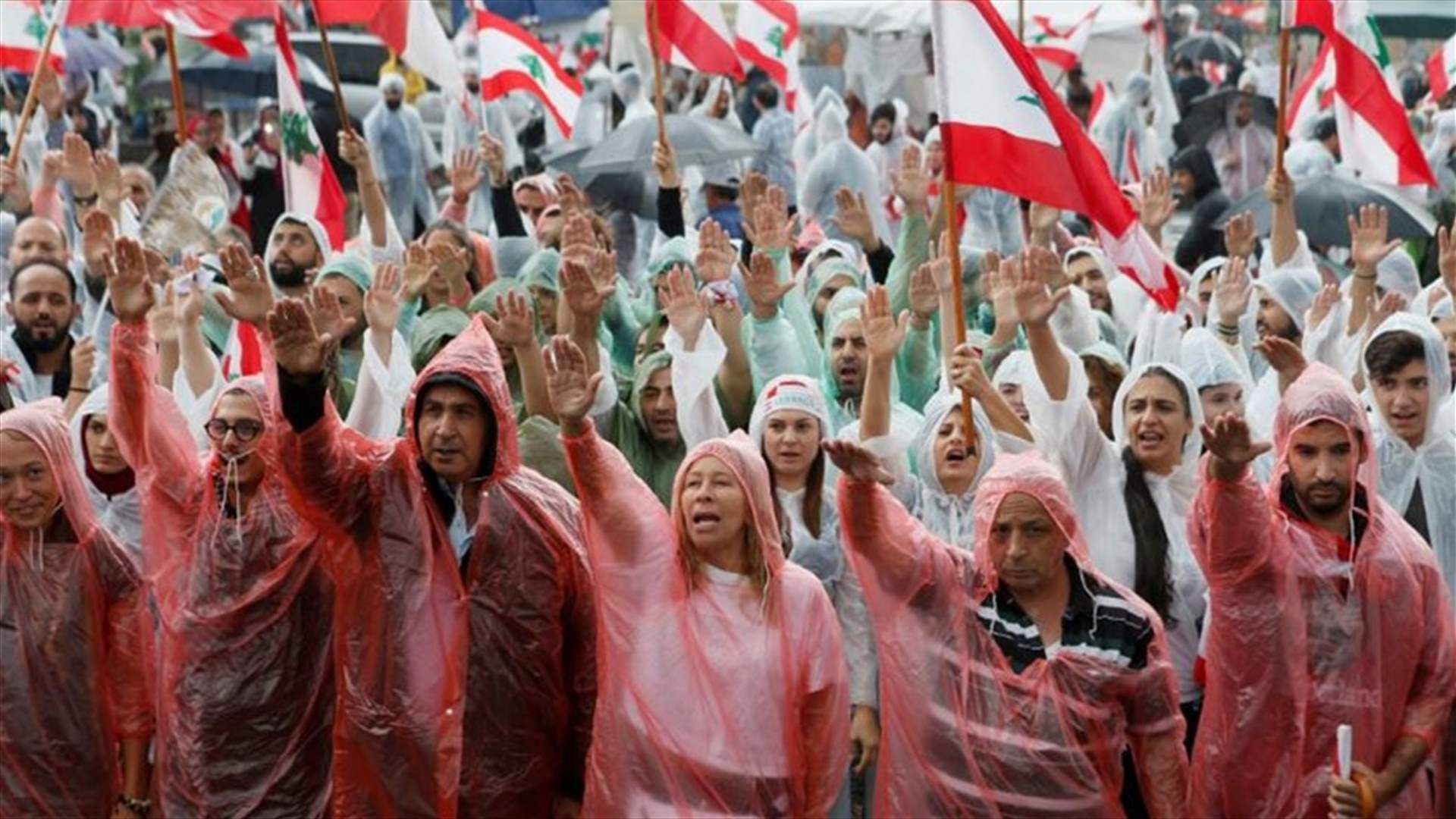 "أنا مواطن لبناني... أنا مموّل الثورة" (فيديو)