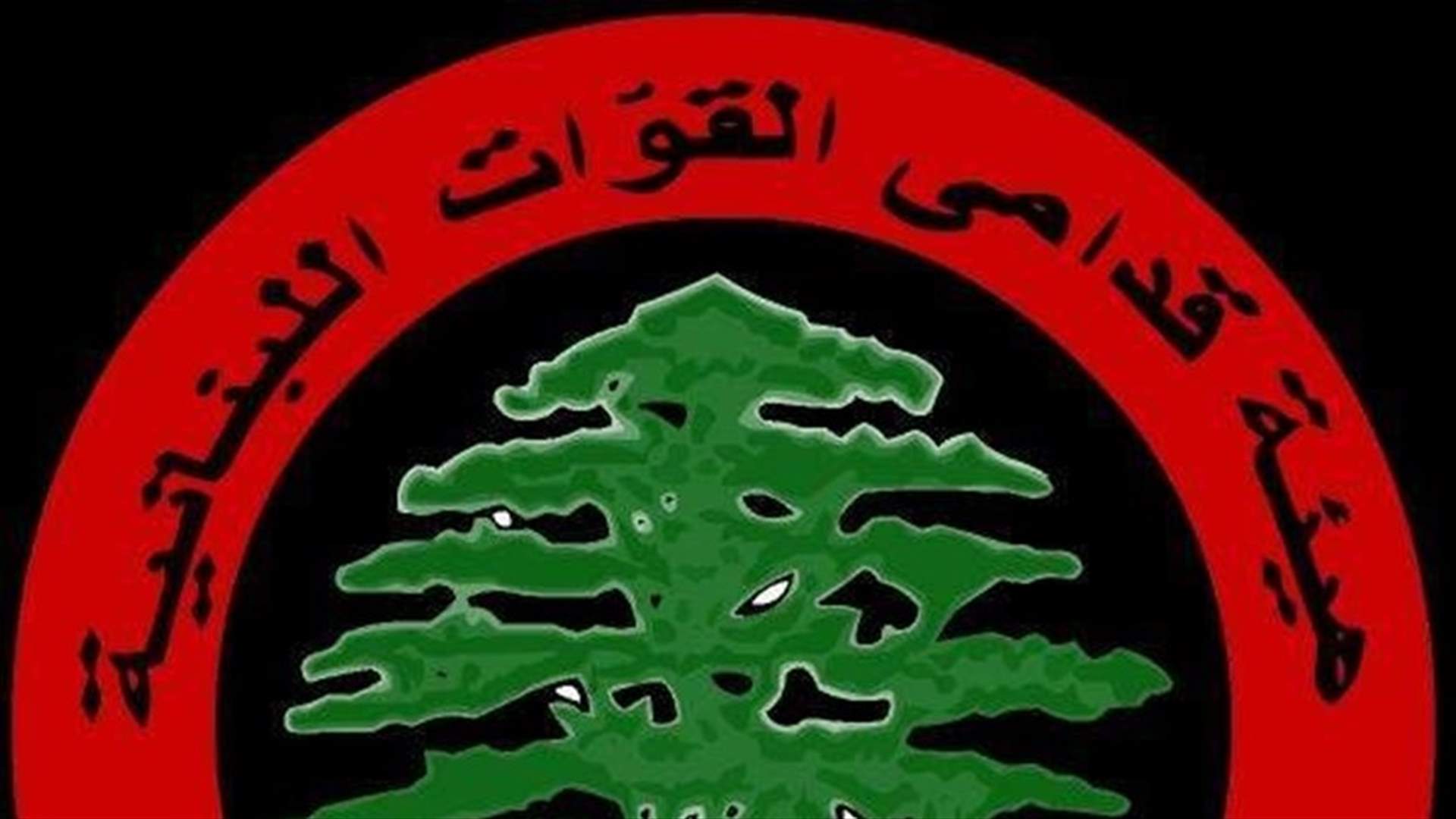 قدامى القوات للمتظاهرين: حان وقت تأليف لجان وفتح الطرقات
