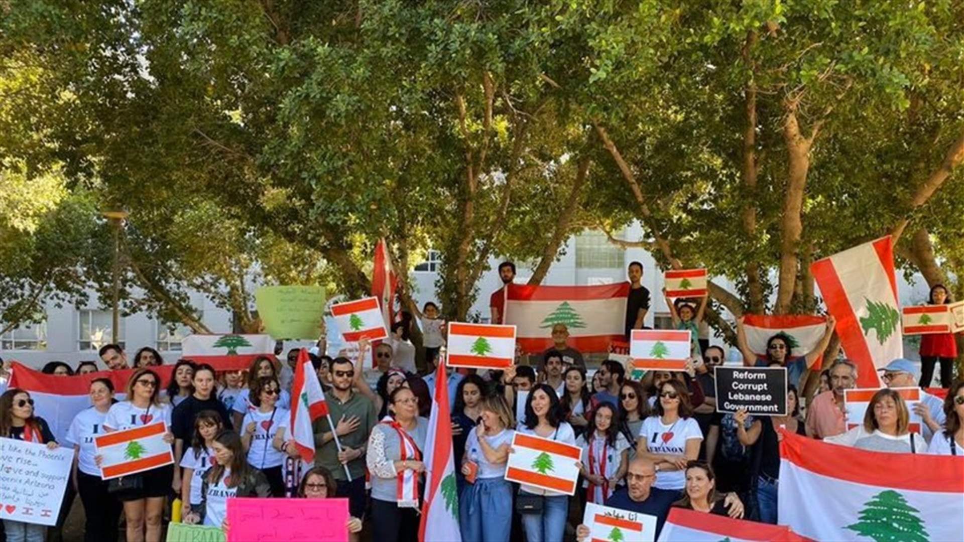 Lebanese in Arizona stage peaceful protest in solidarity with Lebanon (Video)