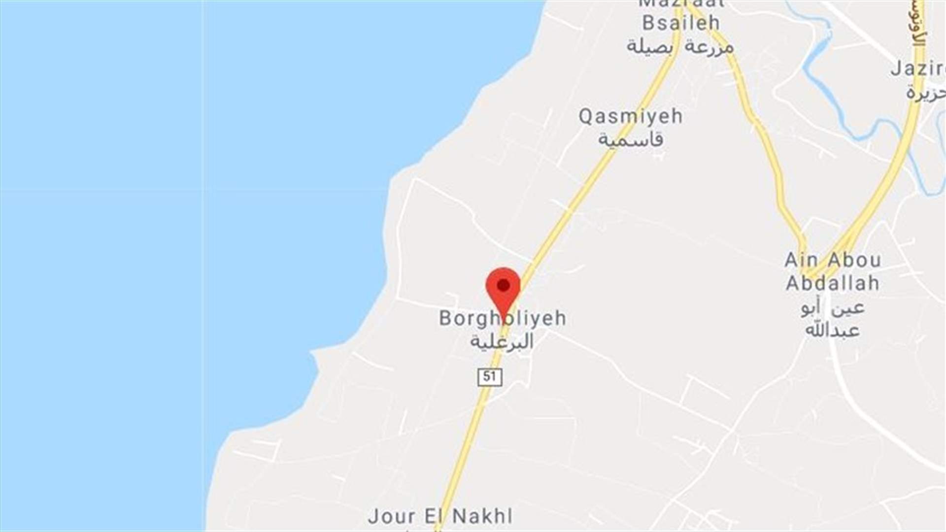 قتيلان في حادث سير مروع على طريق عام البرغلية (صور)