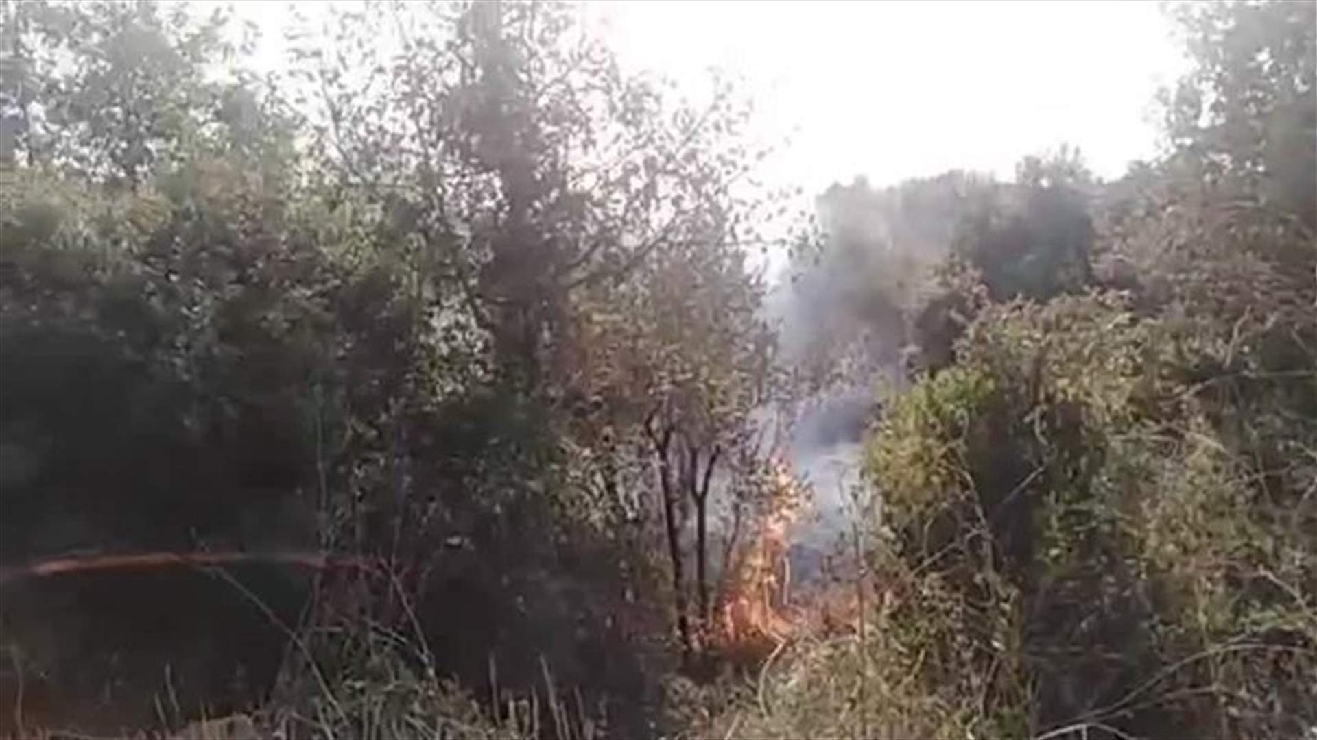Fire erupts in Chouf town of Debieh-[VIDEO]