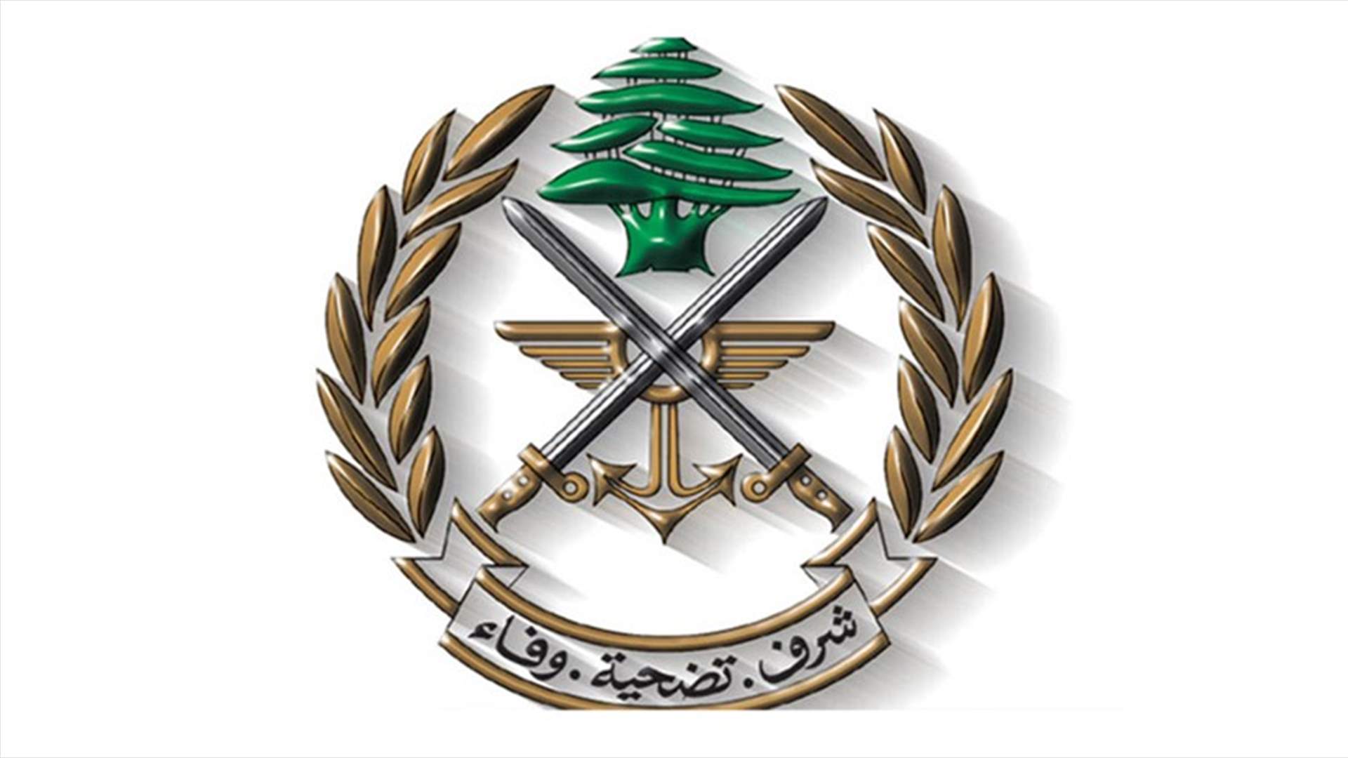 الجيش: زورق معاد ألقى قنبلة صوتية في المياه مقابل رأس الناقورة