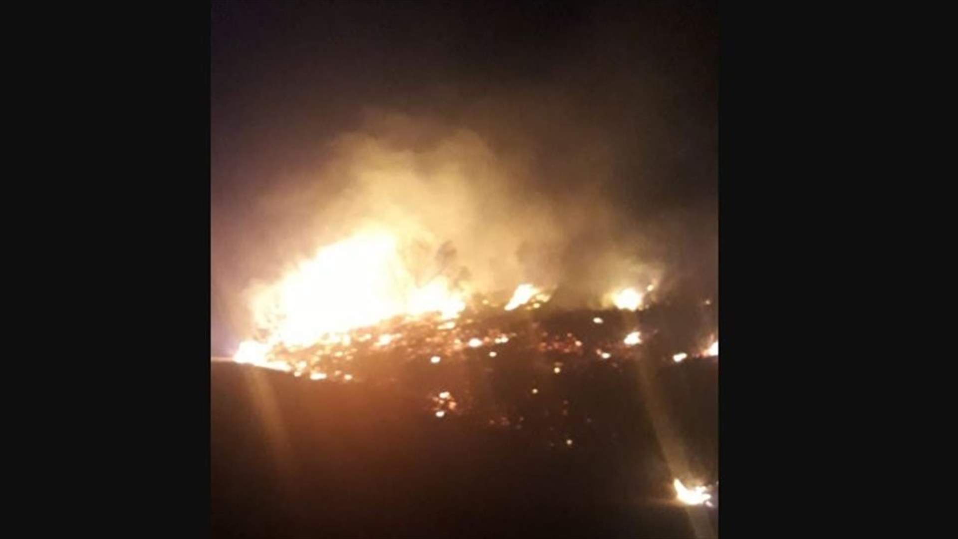 Attempts ongoing to put out fire in a pine and oak forest in Beino, Akkar (Photo)
