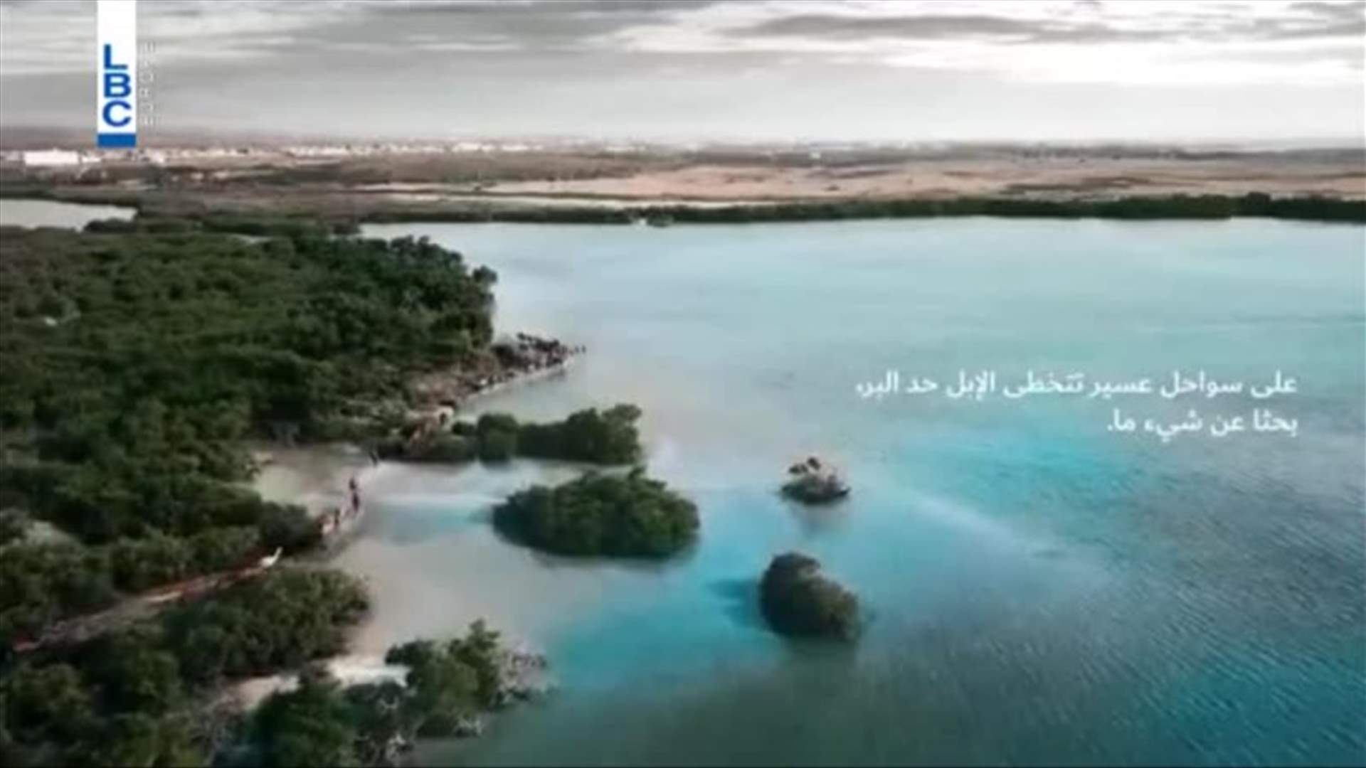 فيديو للجمال في منطقة عسير بالسعودية